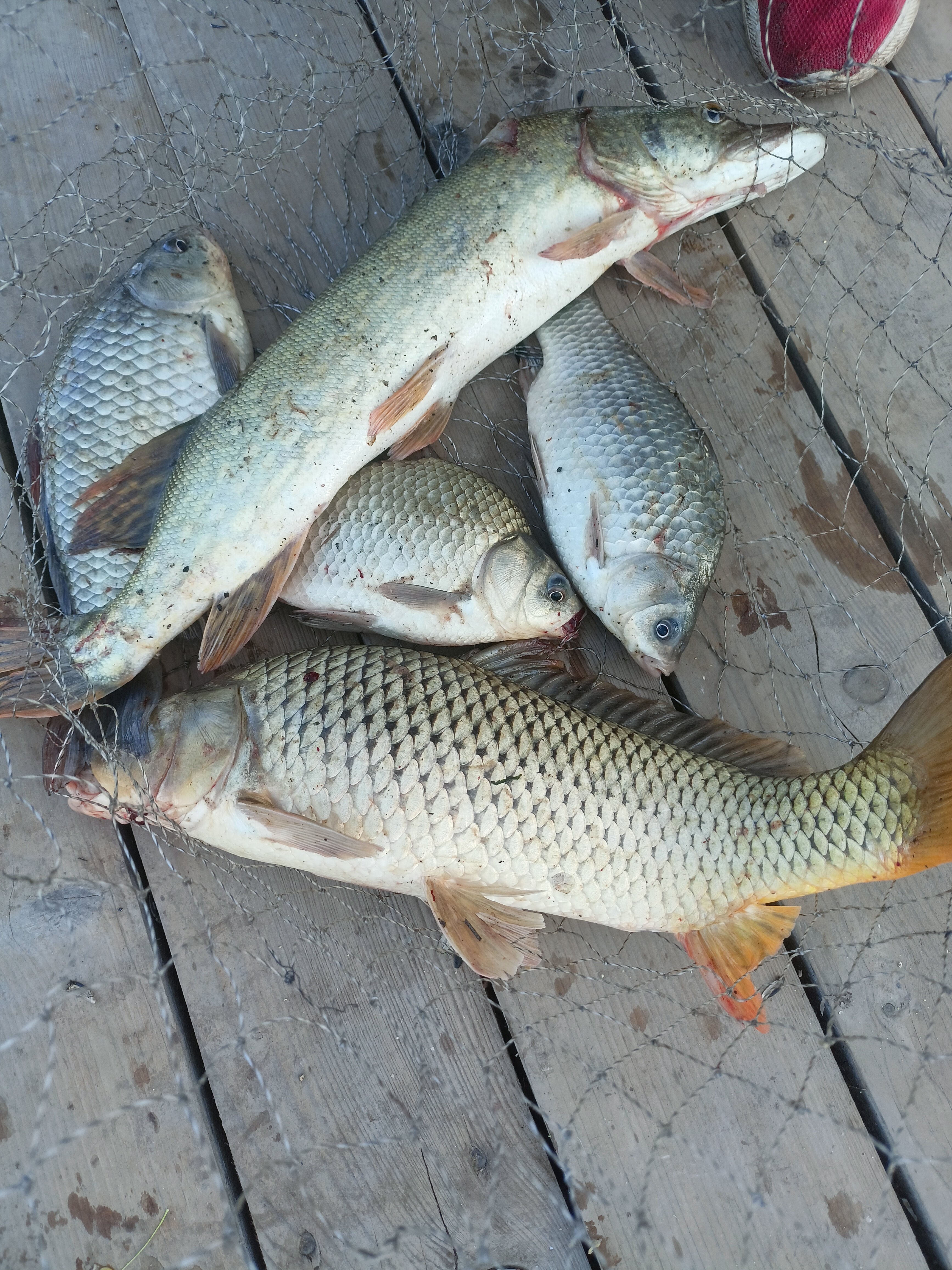 Фото Усадьба Гандурино