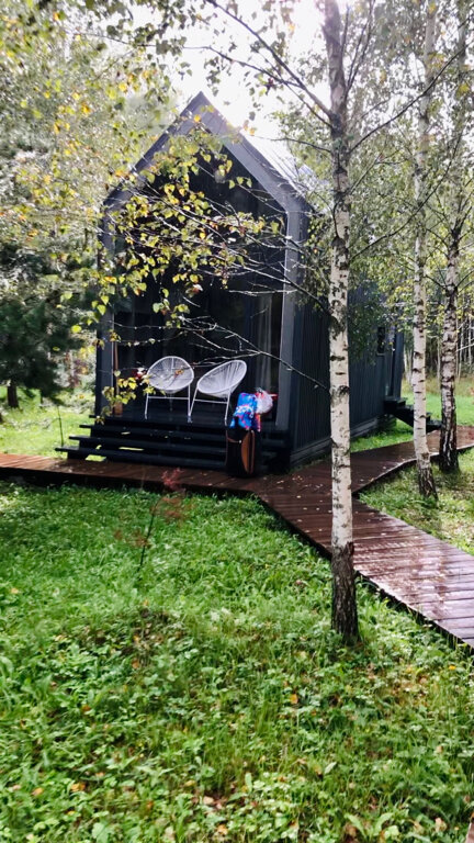 Фото Дыши лесом