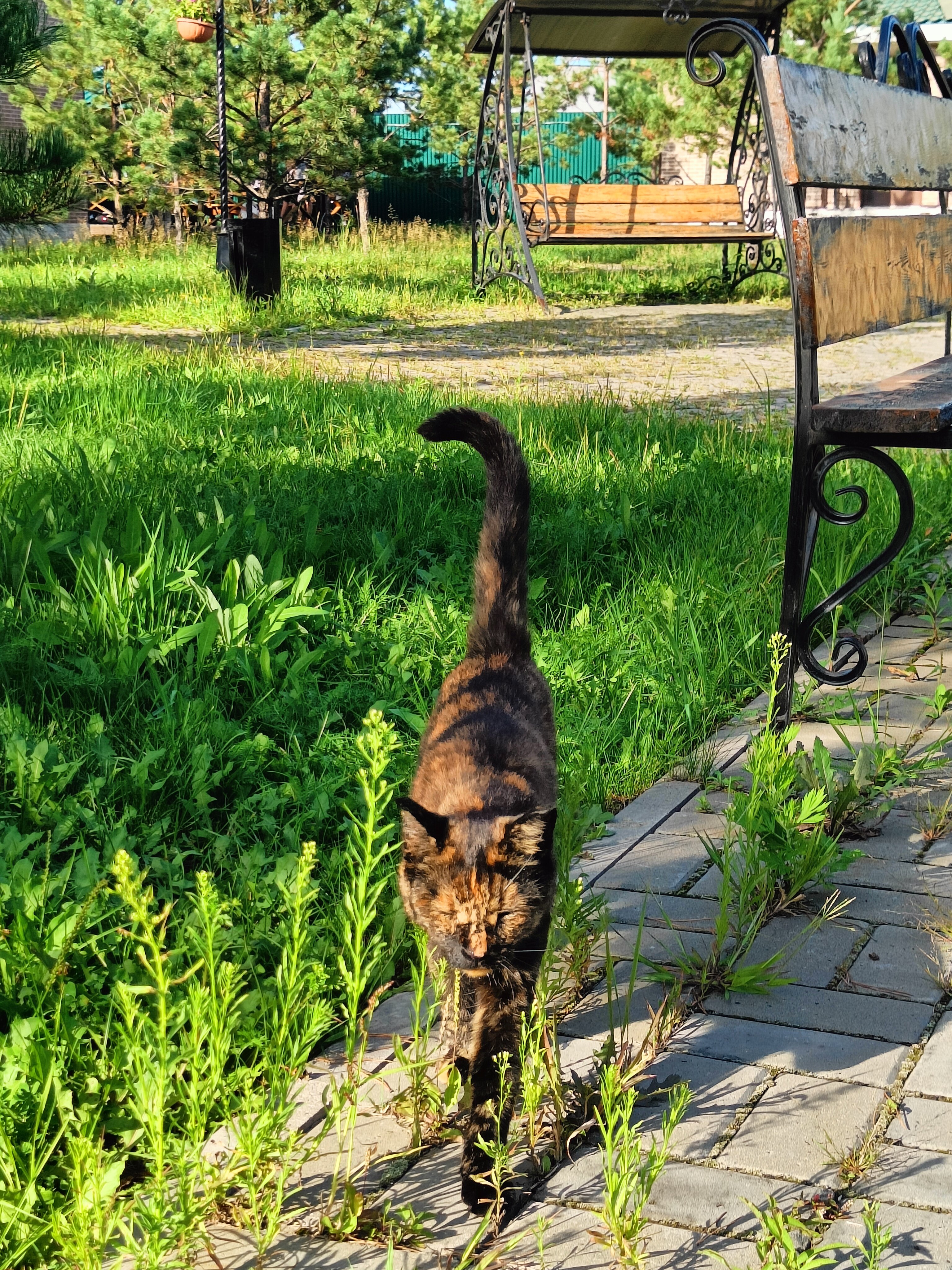 Фото Гранд Парк