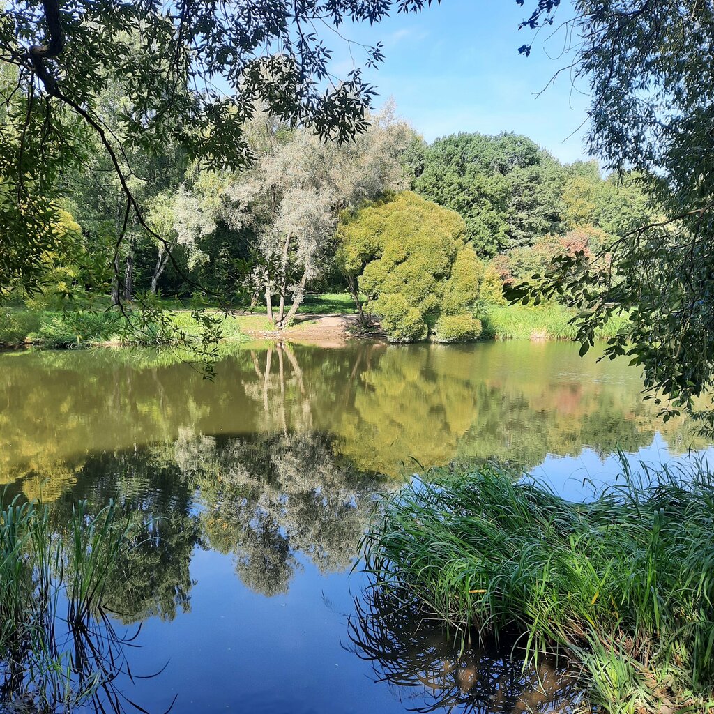 Kültür ve eğlence parkları Ostankino Park, Moskova, foto