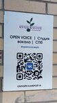 Open Voice (Aviatorov Baltiki Avenue, 13), music school