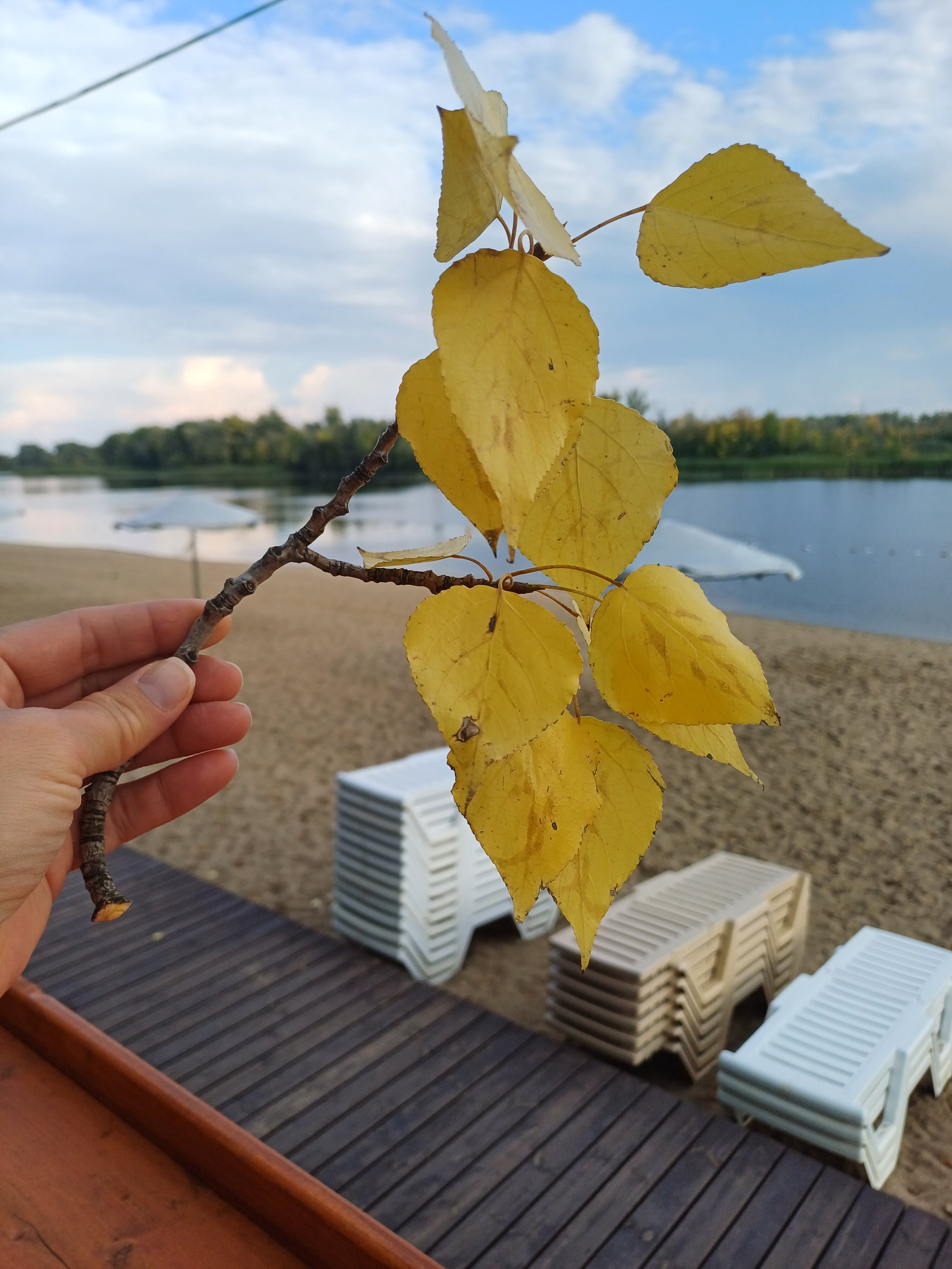 Фото Алымов