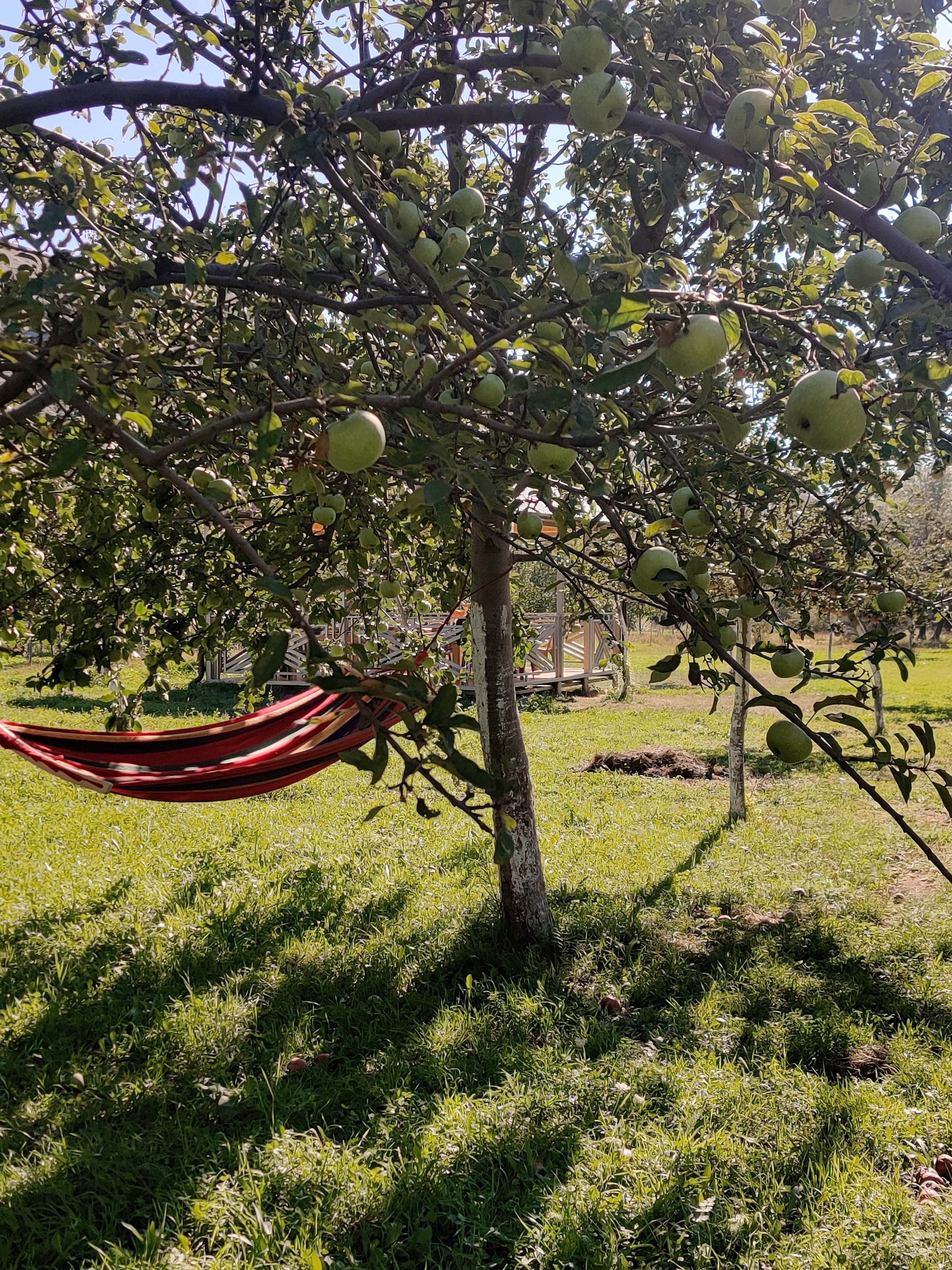 Фото Рагдан