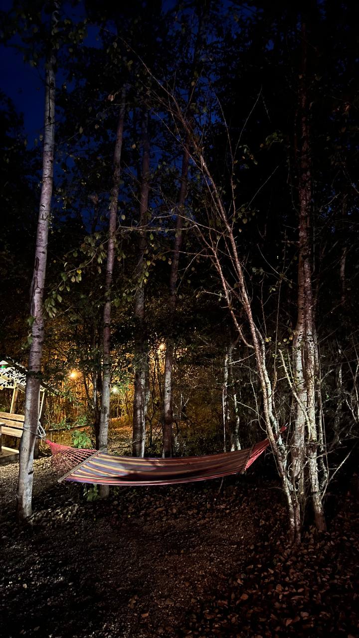 Фото Вершина