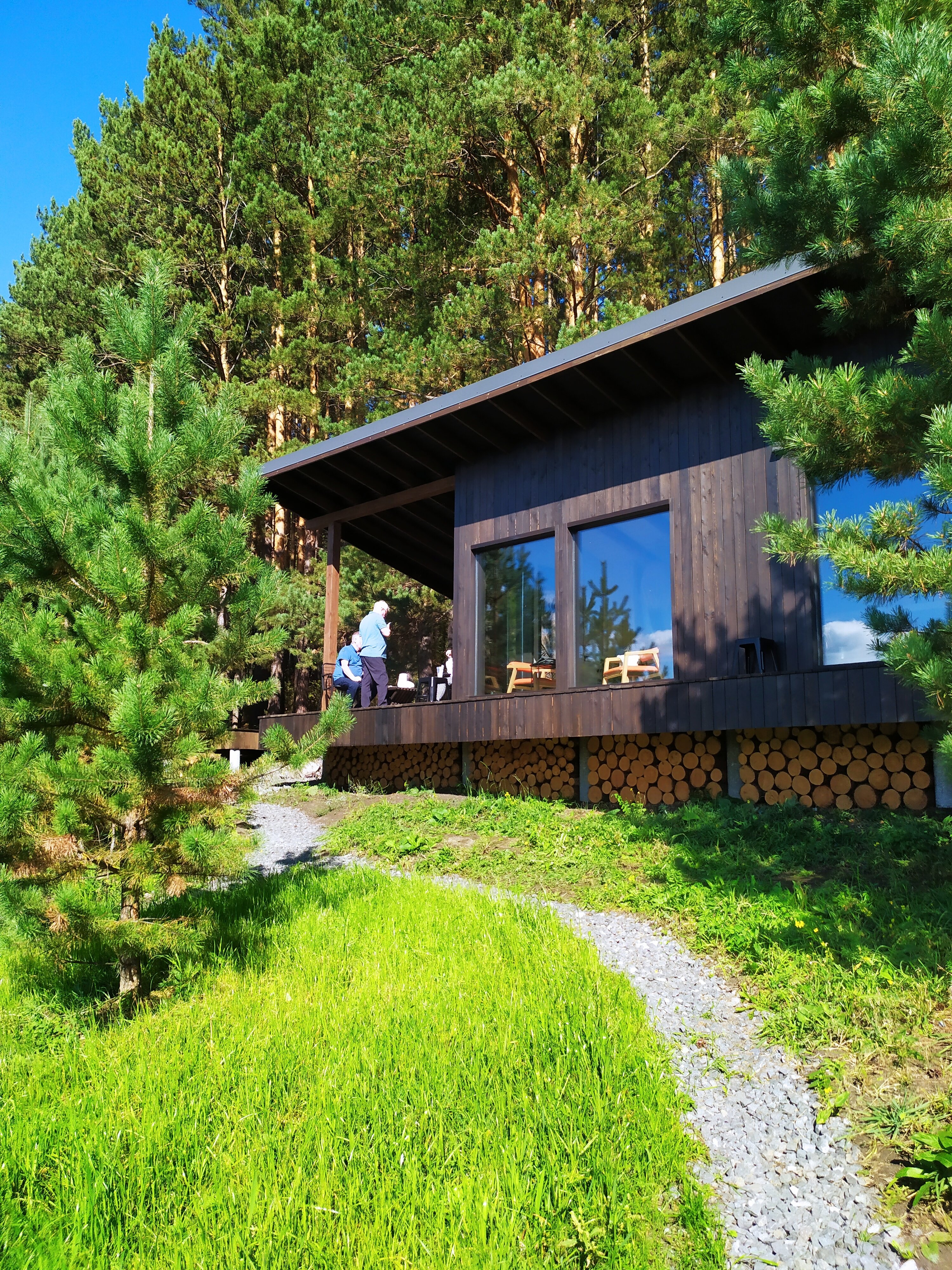 Фото Блэк пайн