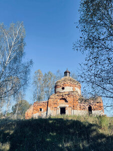 Церковь Введения во храм Пресвятой Богородицы (Tula Region, Belyovskiy rayon, selskoye poseleniye Pravoberezhnoye), orthodox church