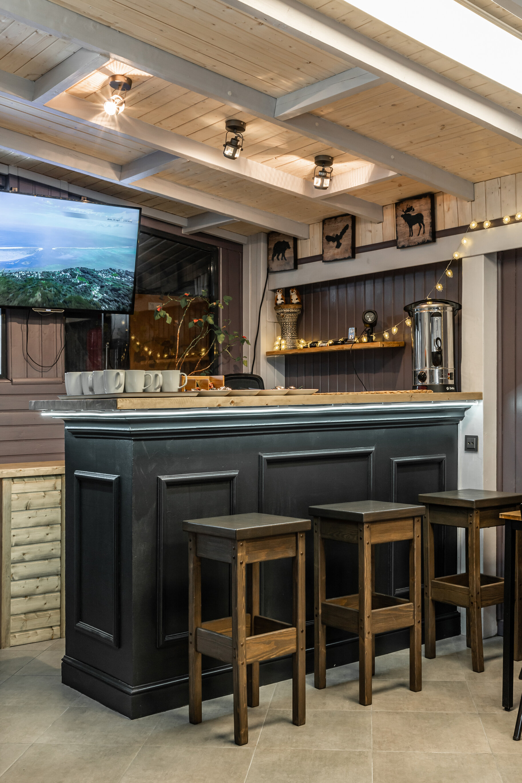 Фото Тополя