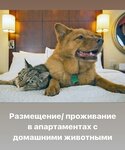 Divankrovatapart (ulitsa Semena Biletskogo, 1) ، سكن للإيجار اليومي