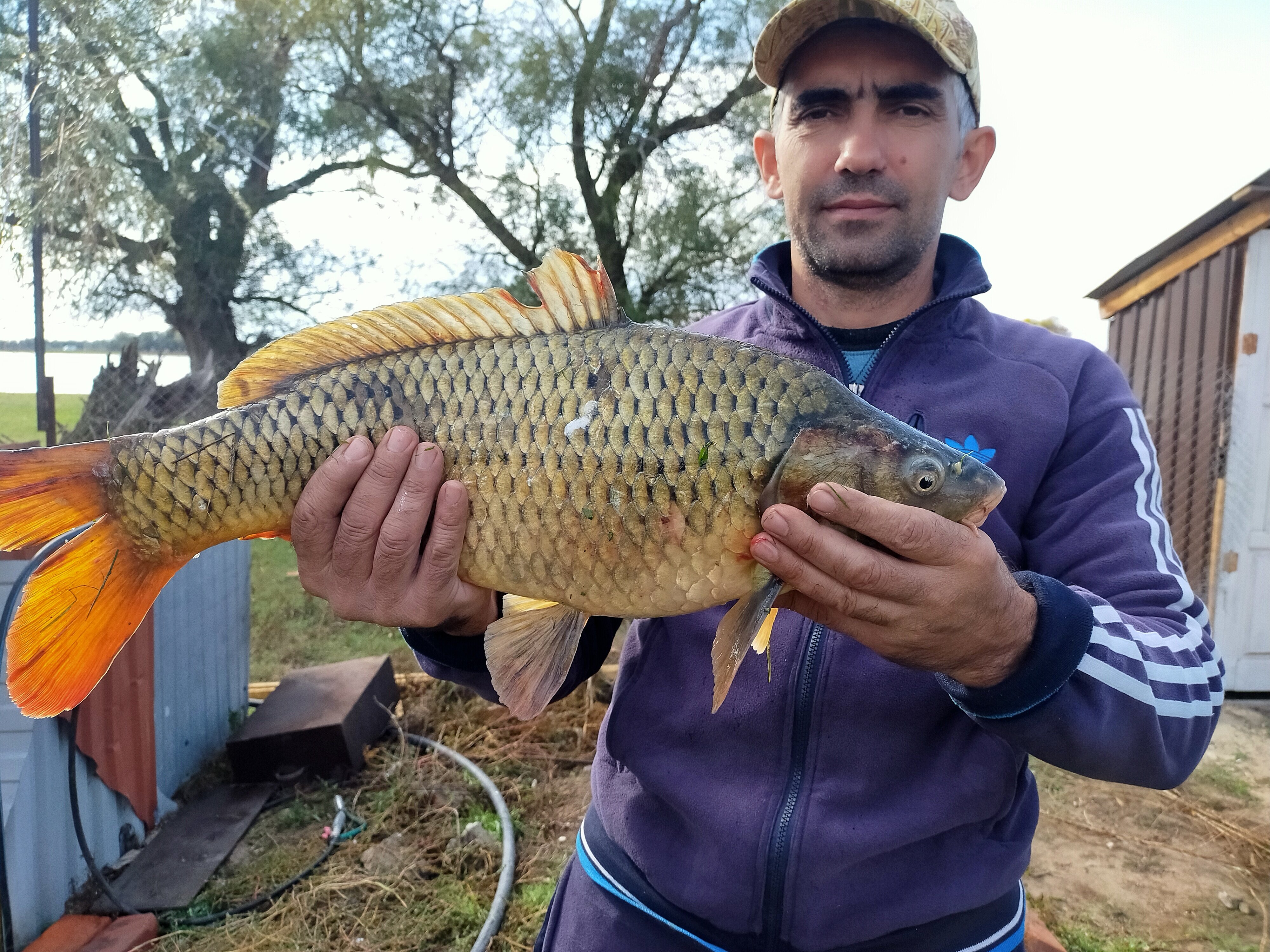 Фото У дяди Вади