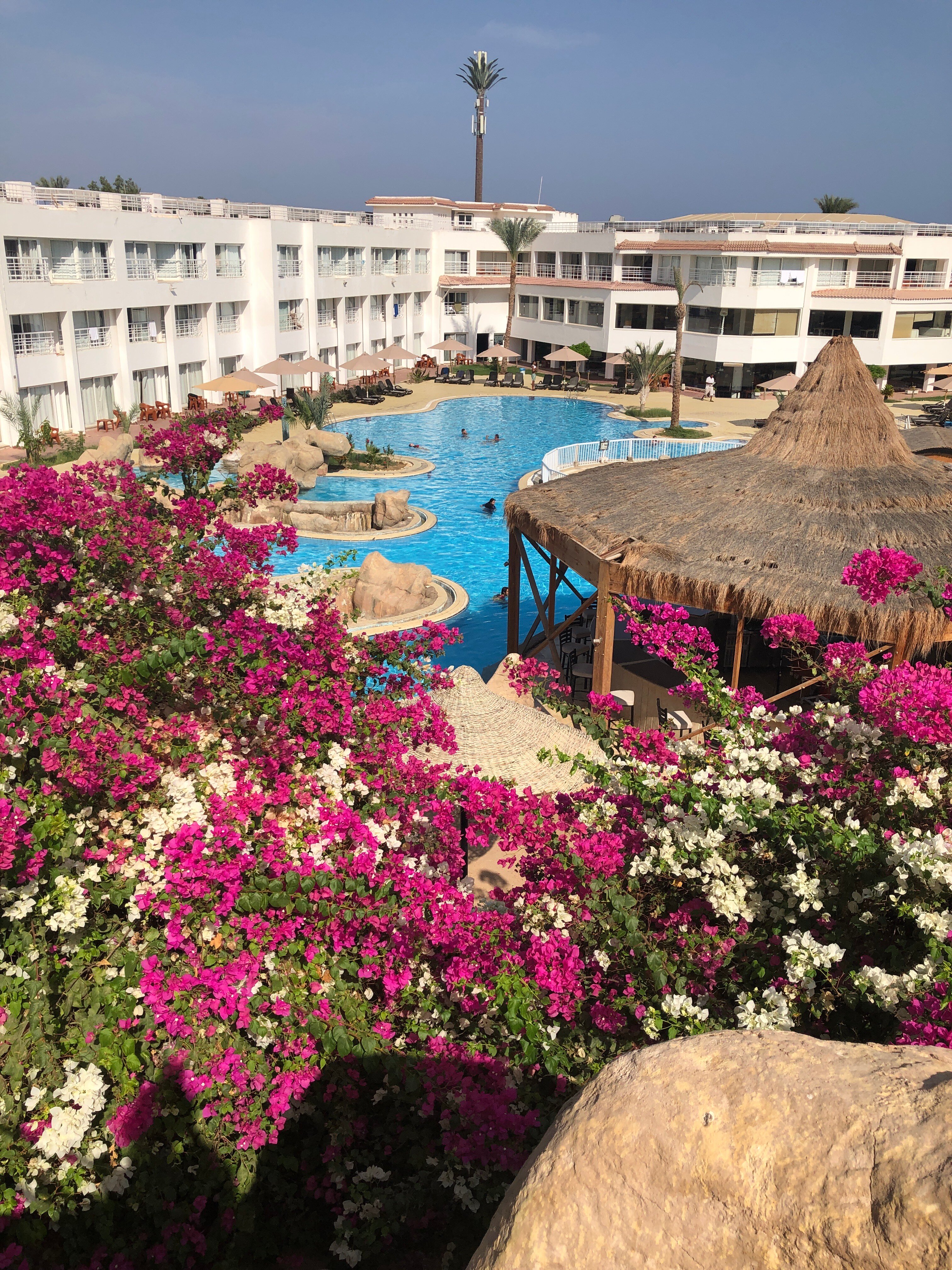 Фото Sharming Inn Hotel