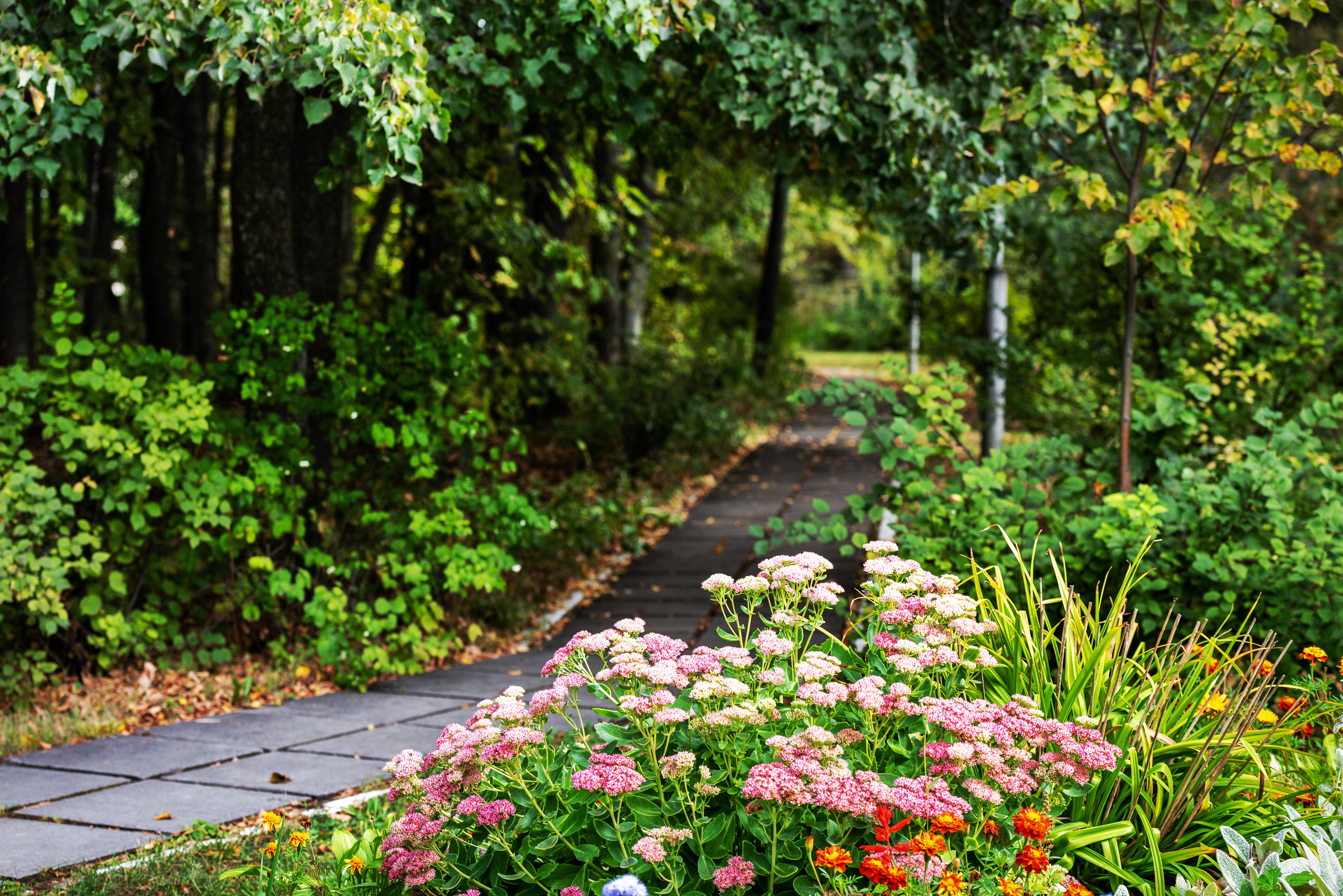 Фото Код здоровья