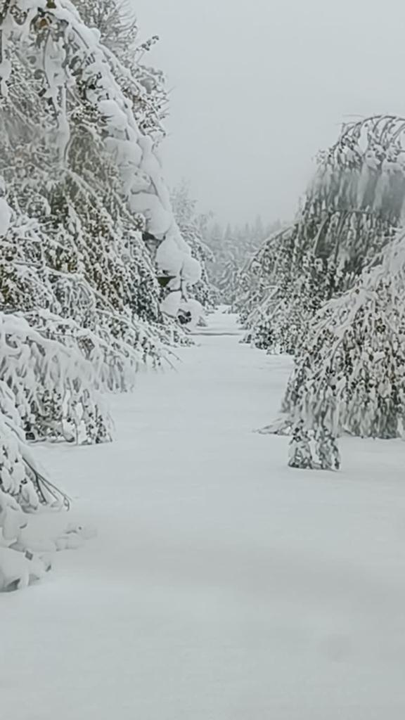 Фото На Венере у Игоры