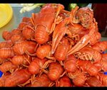 Рыба и морепродукты (derevnya Krivtsovo, с69), fish and seafood