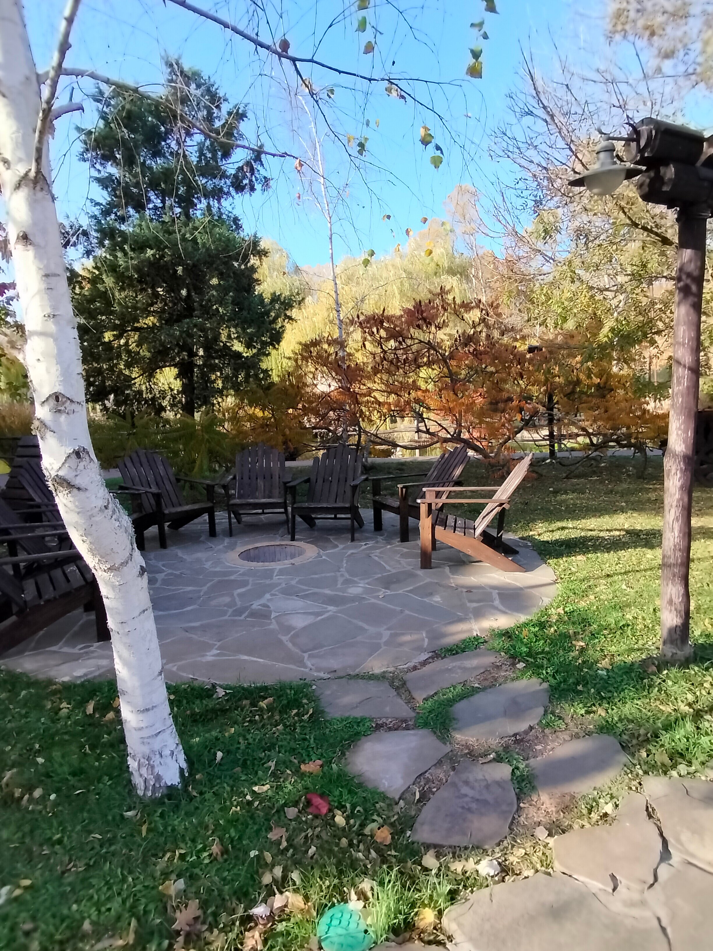 Фото Кура-цеце