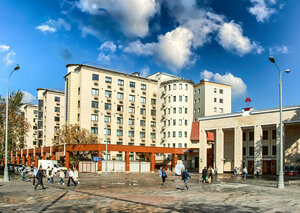 Сенатор