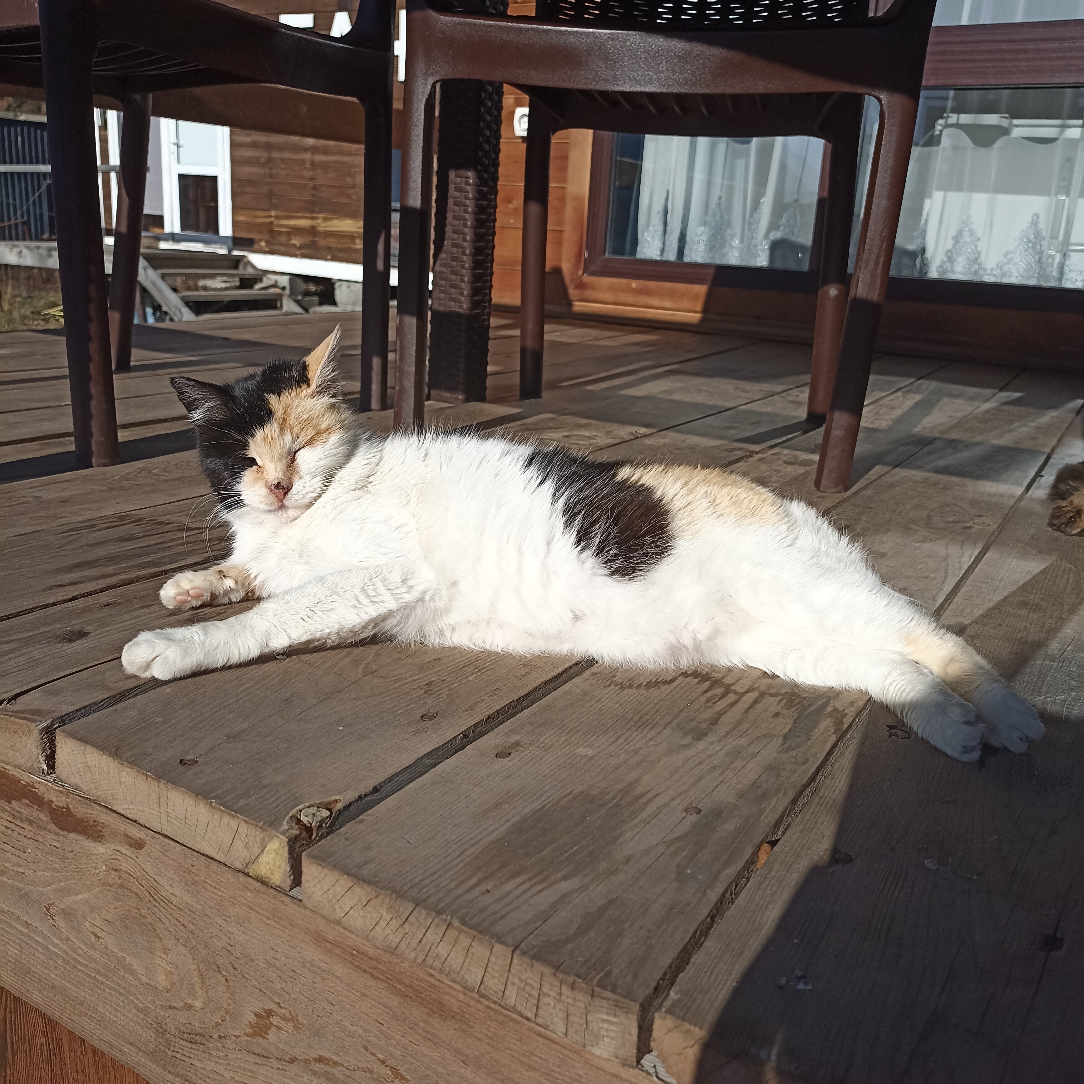 Фото Arkhyz Family Lodge