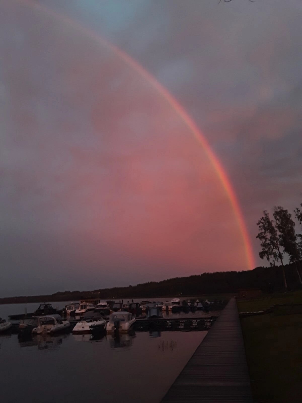 Фото Сильвер