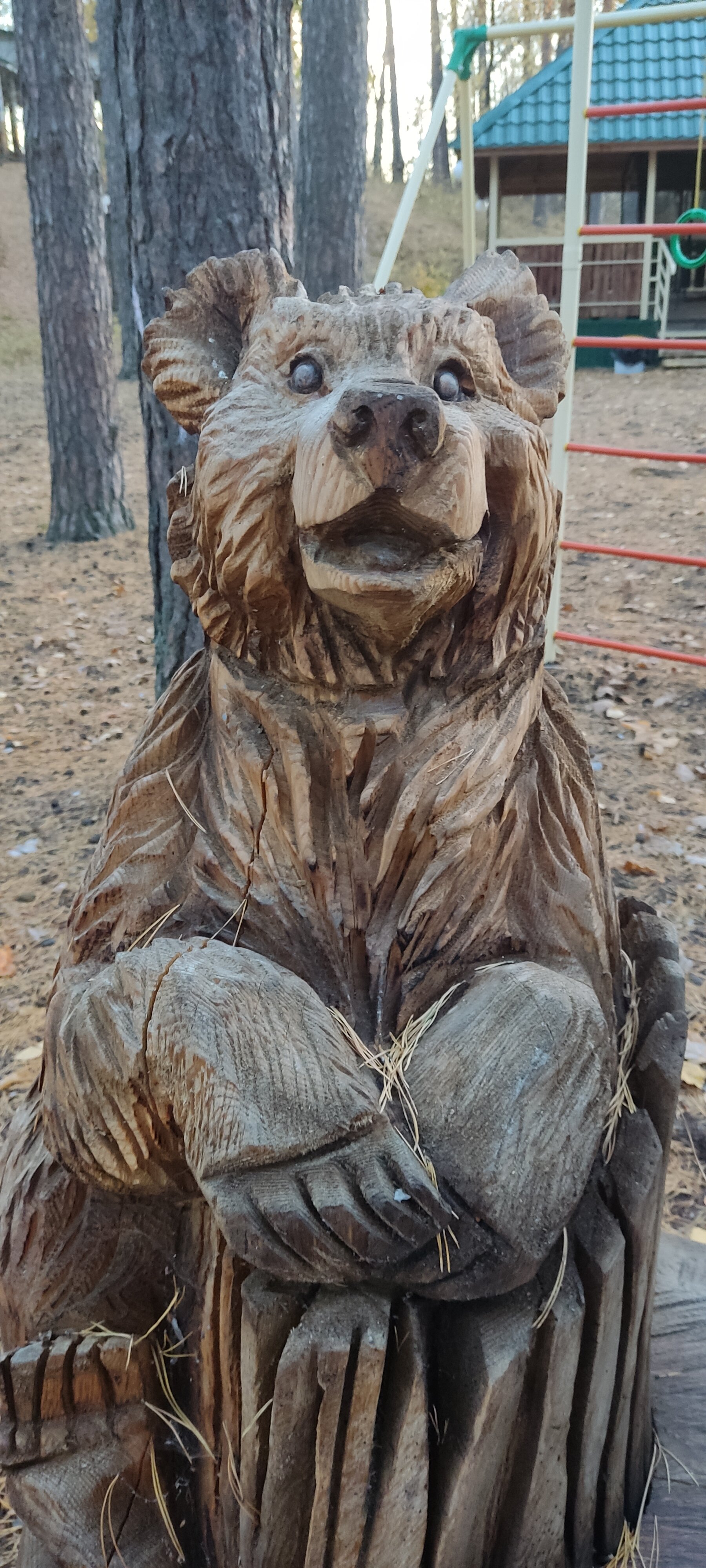 Фото Лесная дача