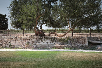 Фото Masseria Prosperi