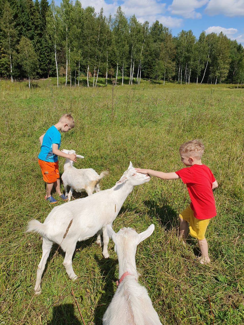 Фото Ферма моей мамы