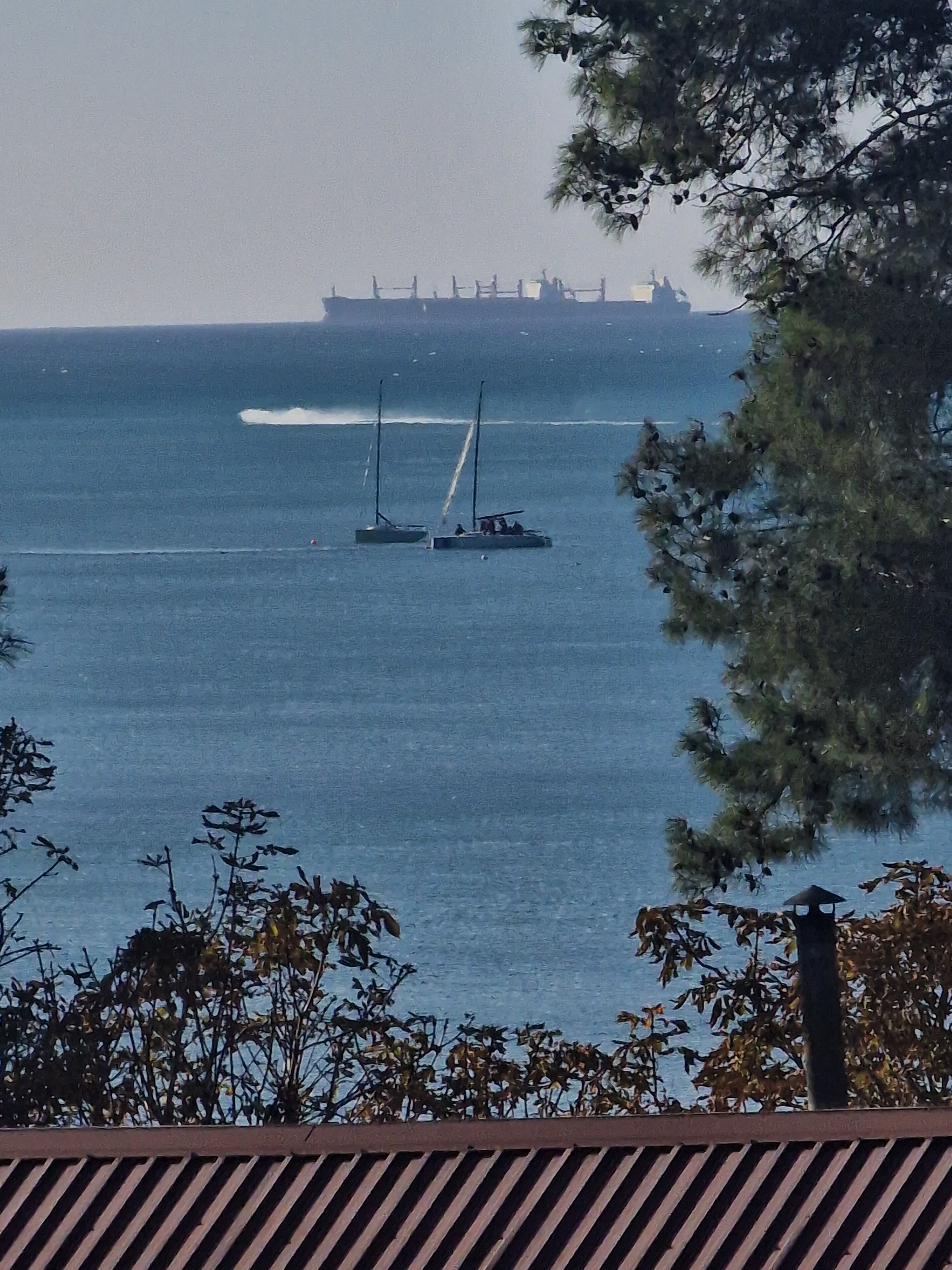 Фото Трианон