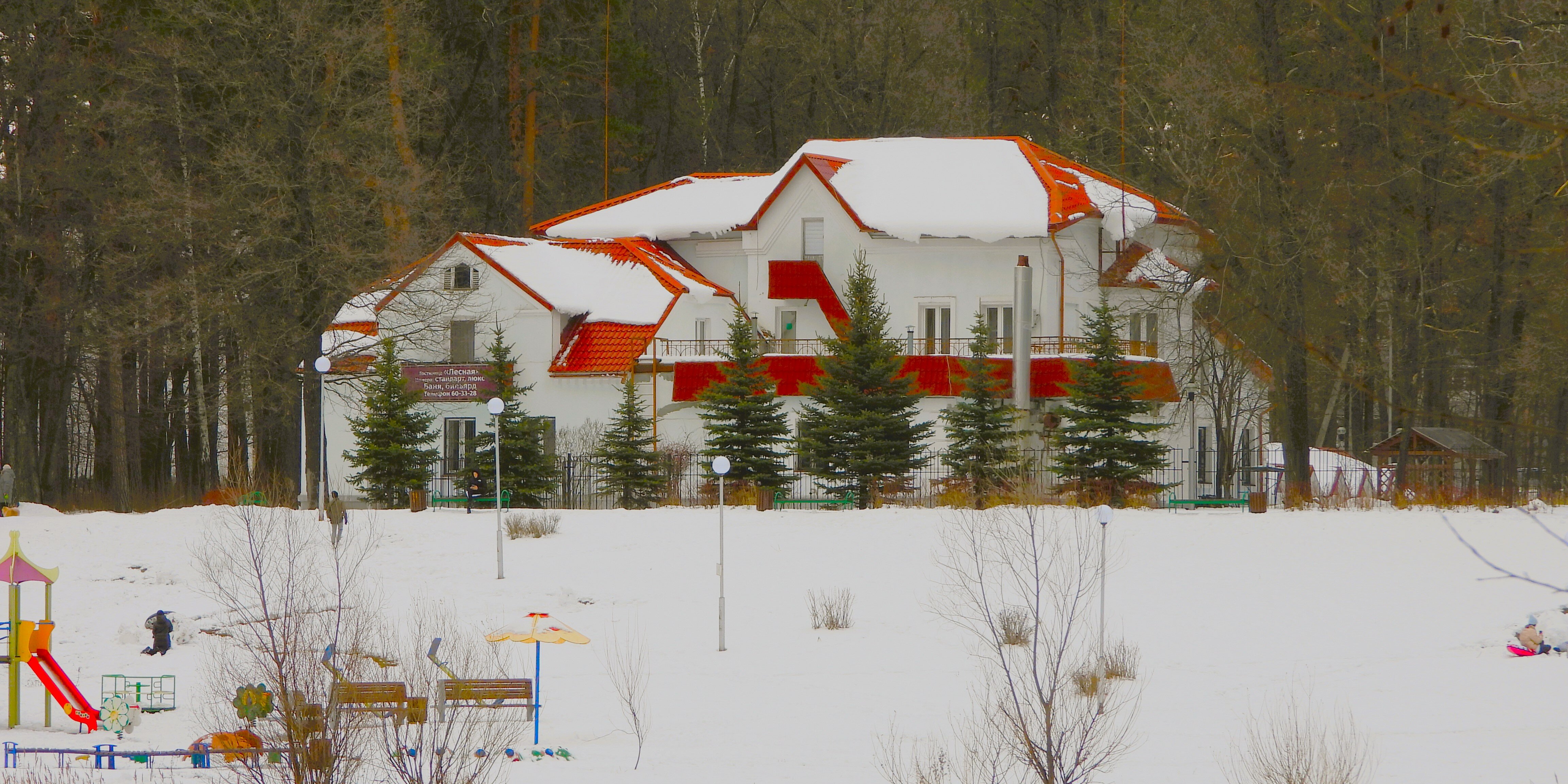 Фото Лесная