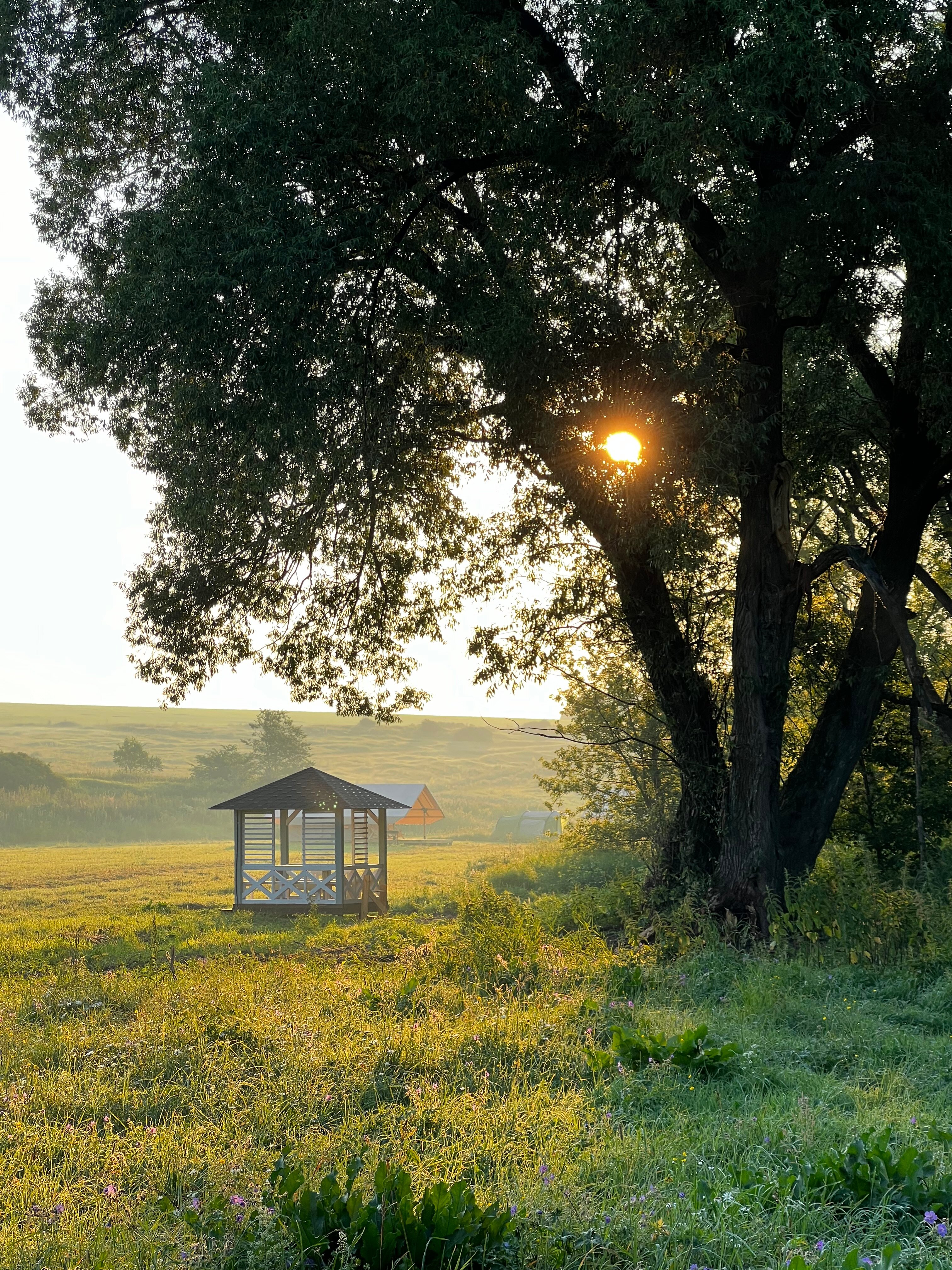 Фото Соты & Варенье