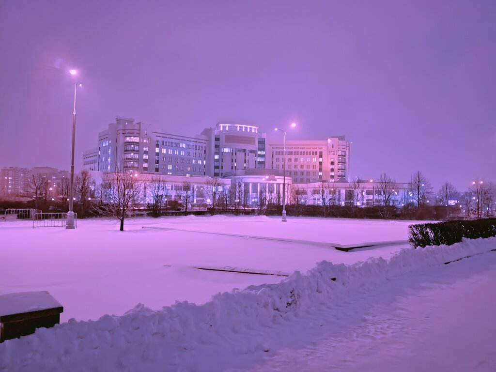 ВУЗ МГУ имени М. В. Ломоносова, Шуваловский корпус, Москва, фото