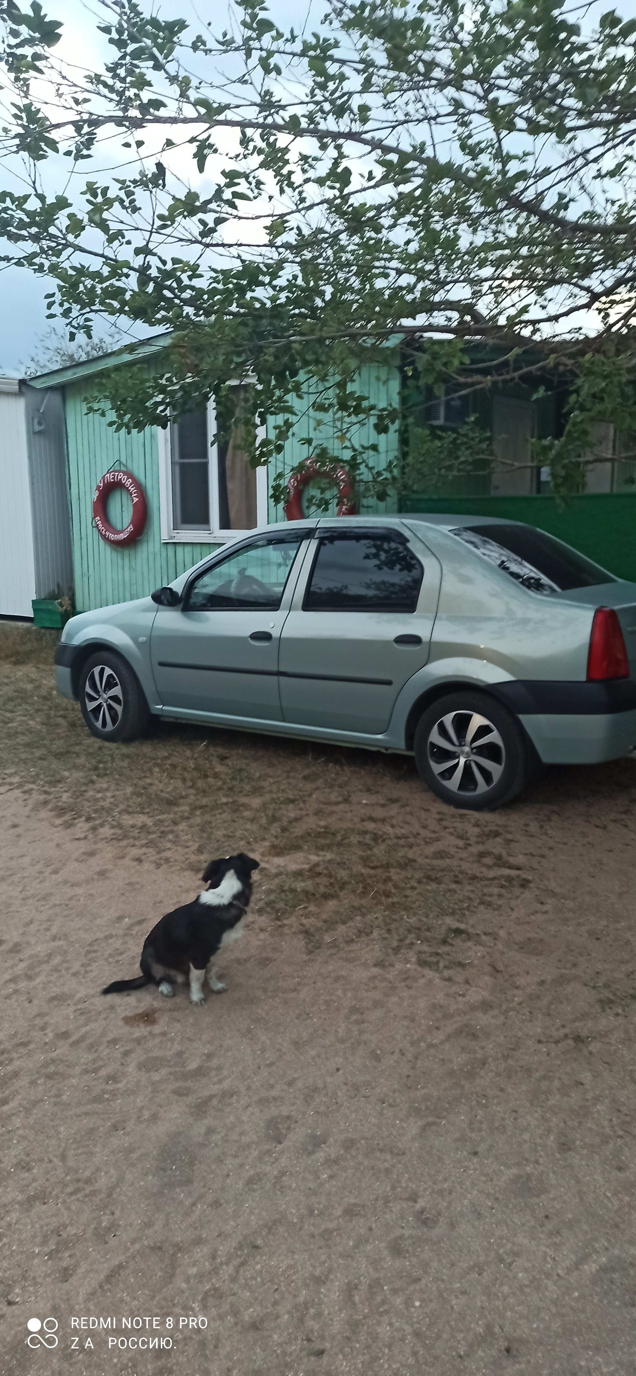 Фото У Петровича