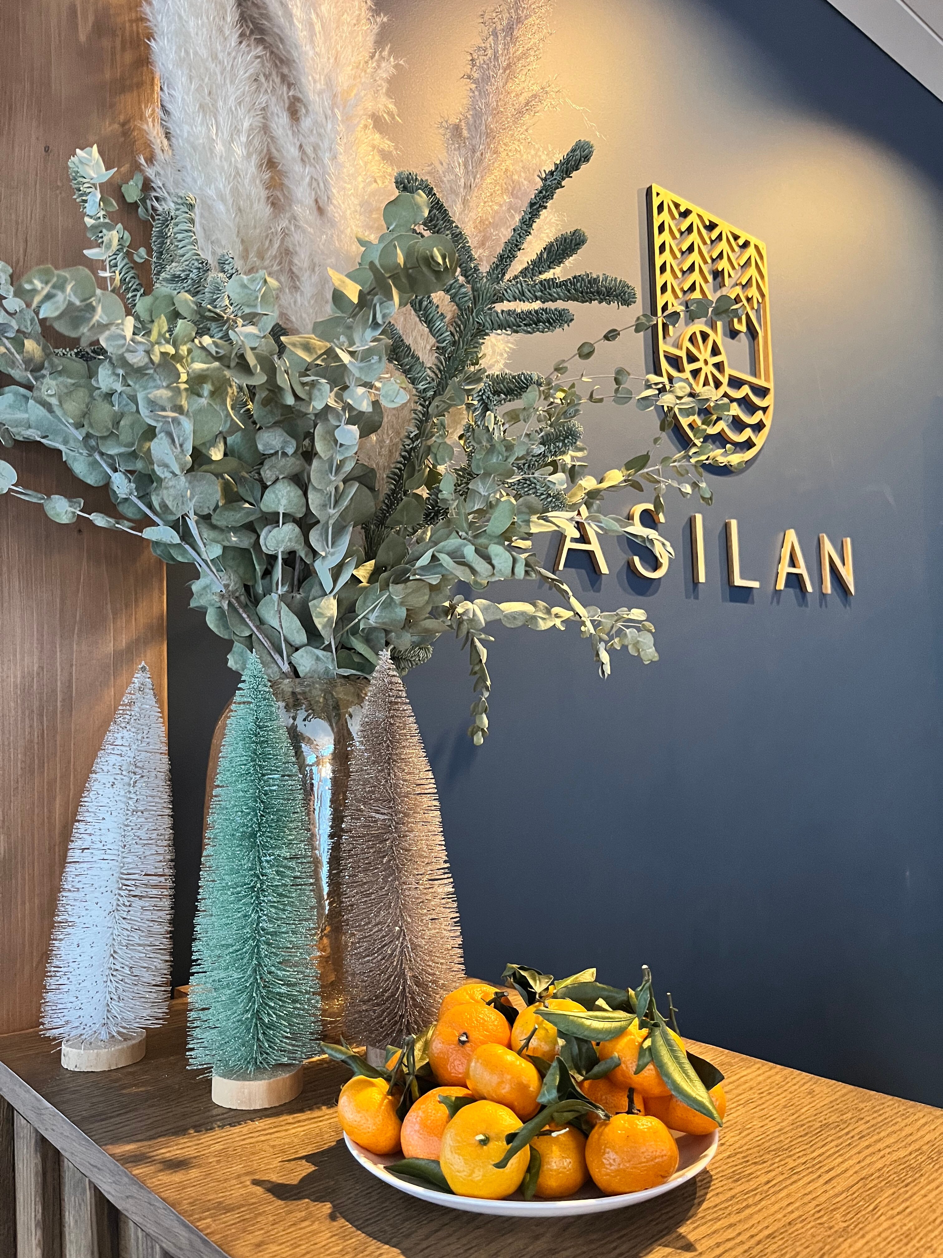 Фото Asılan Club