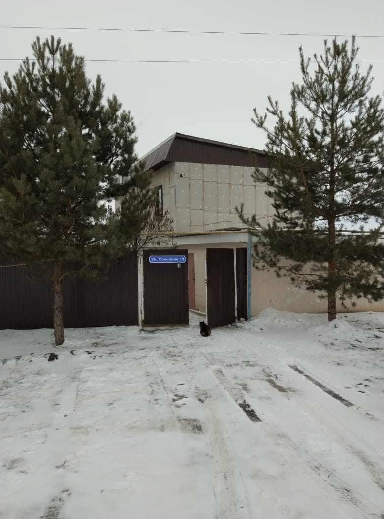 Фото Сосновая Стрит