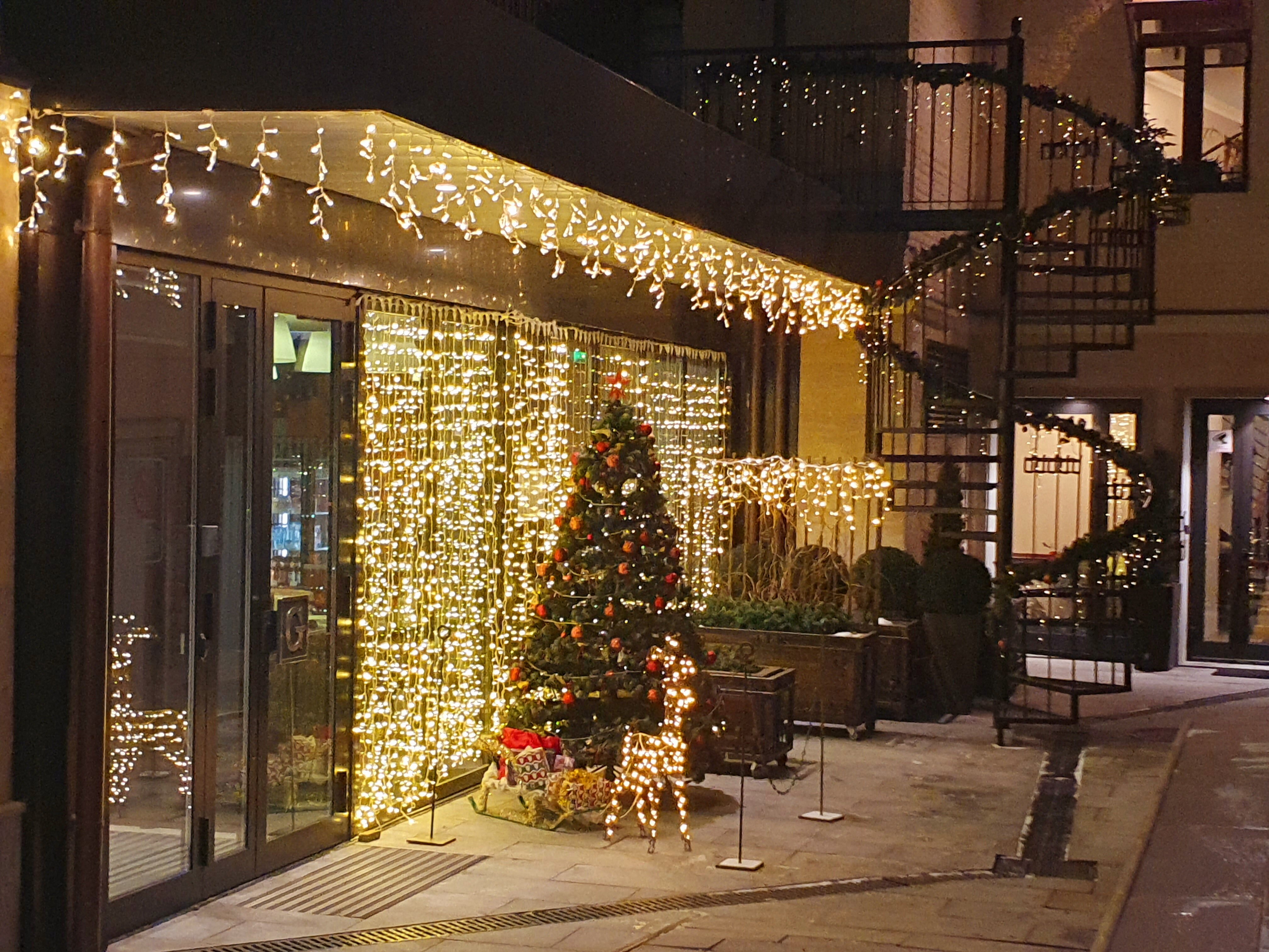 Фото Графский