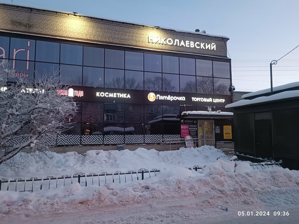 Supermarket Pyatyorochka, Pushkin, photo