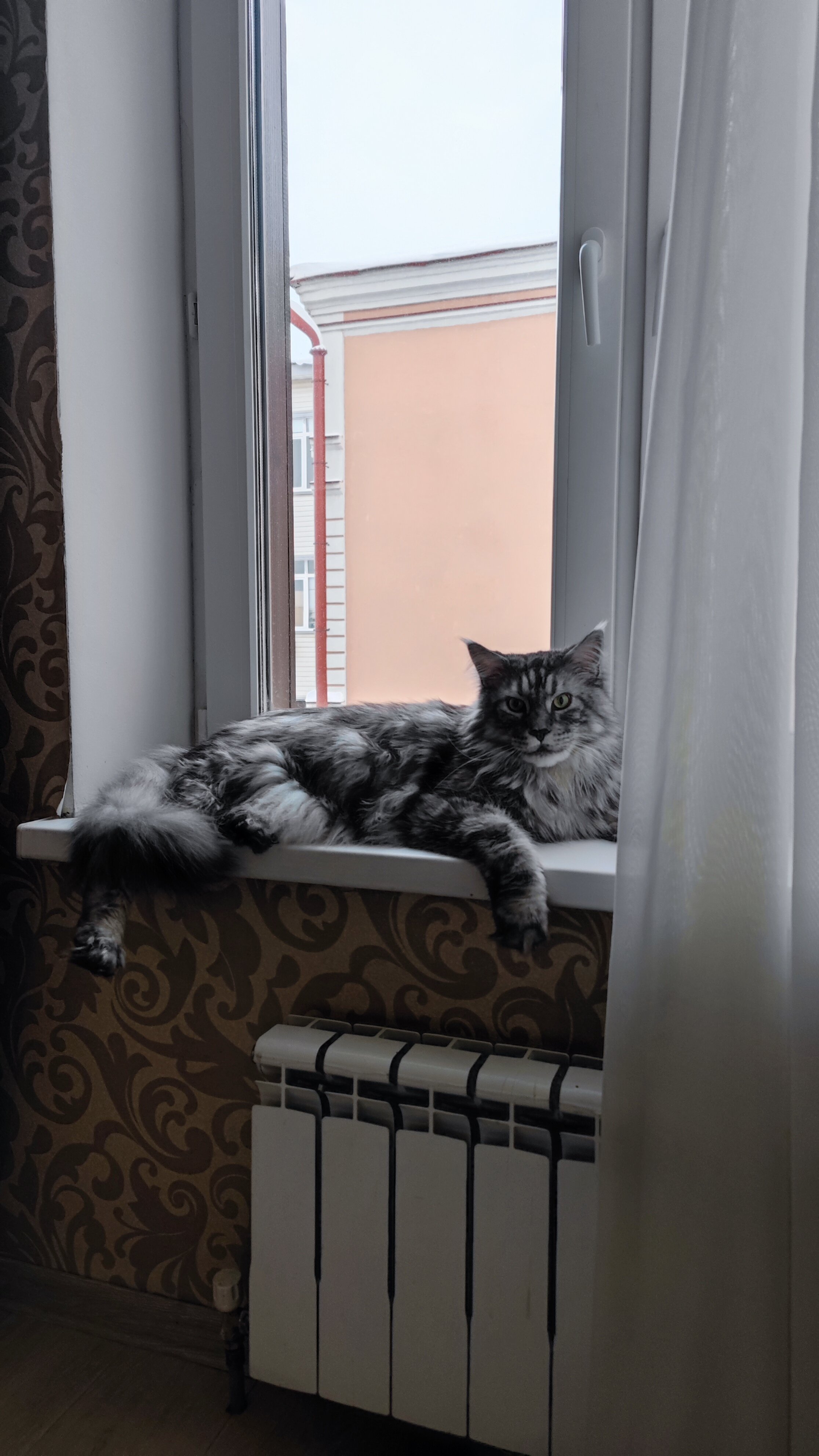 Фото Sweet Йорт