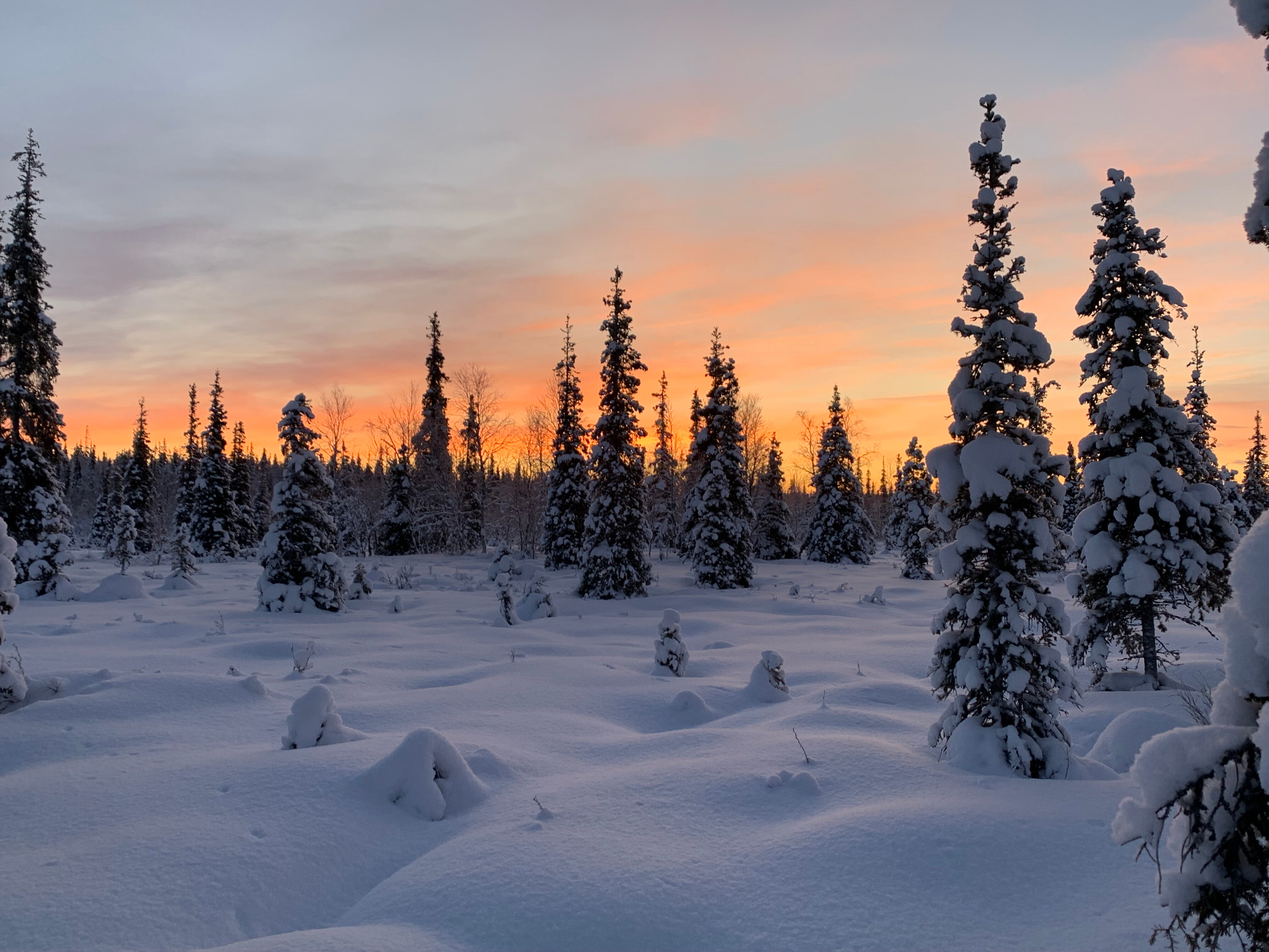 Фото Ловозеро Тур