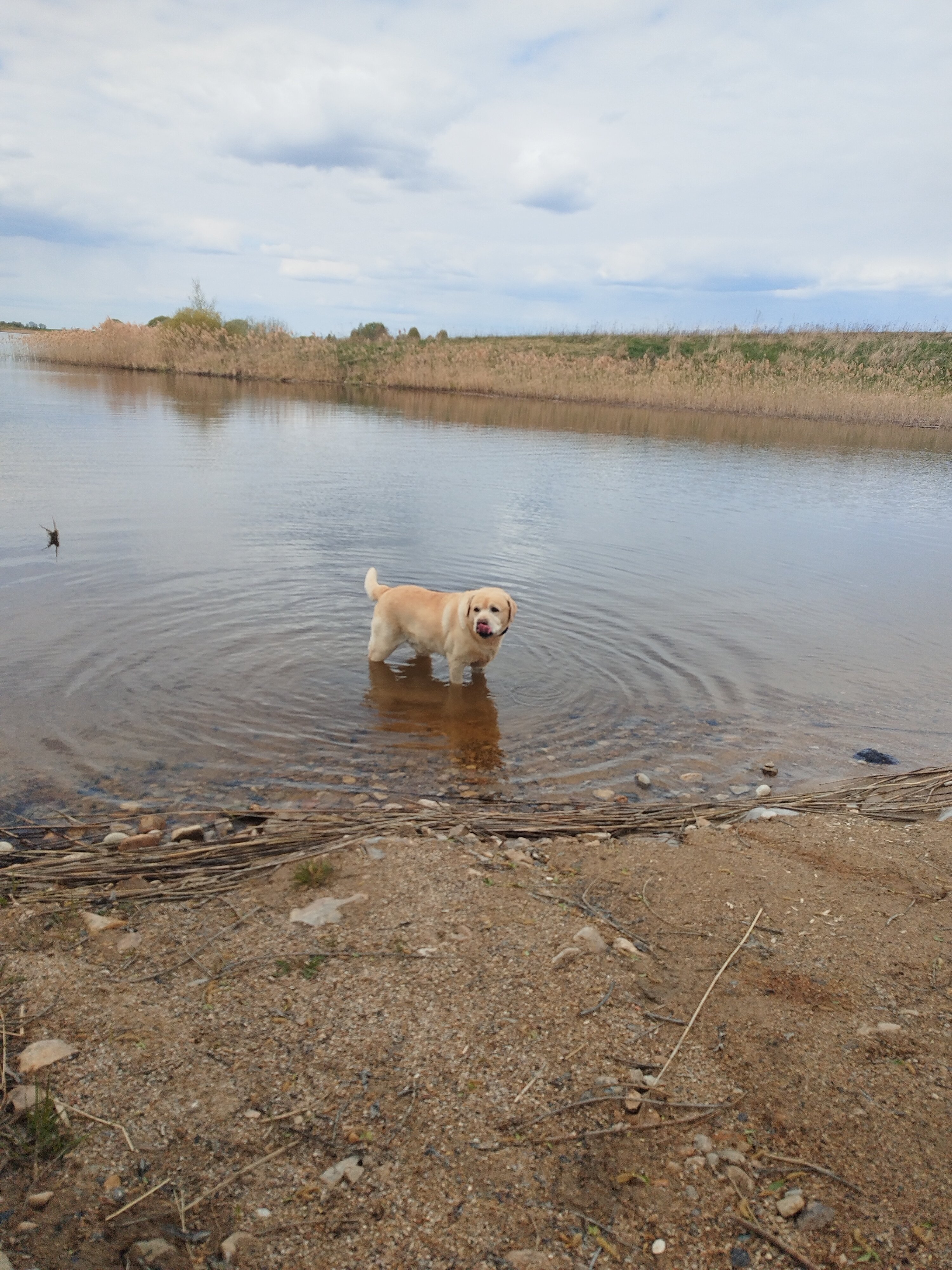 Фото На Вазузу