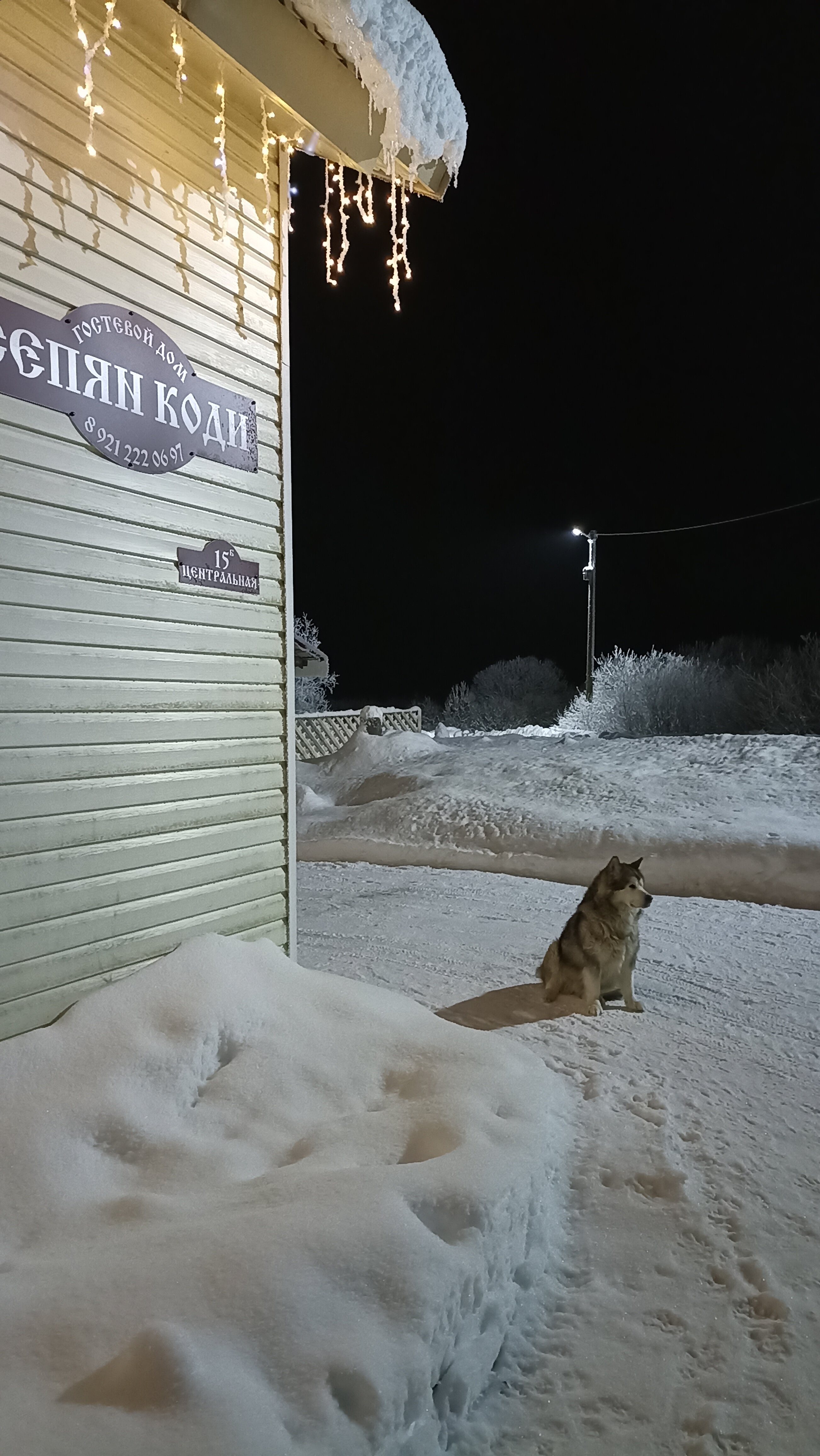 Фото Сепян Коди