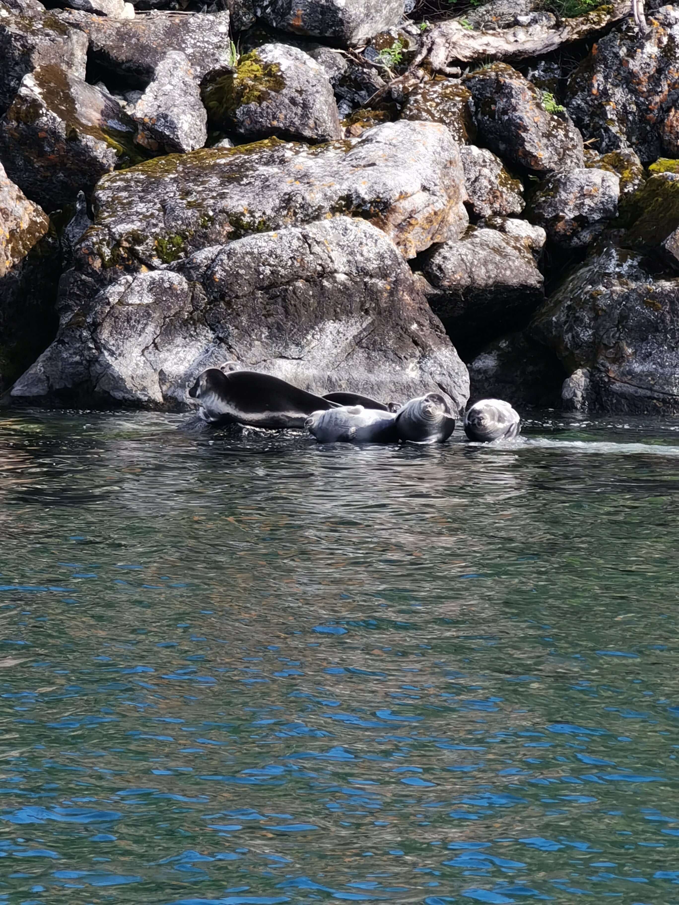 Фото Байкал Lux Aeterna