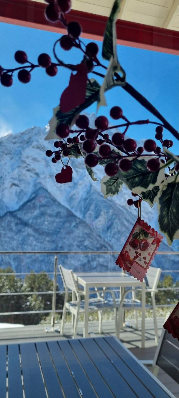 Фото Guest House 1950