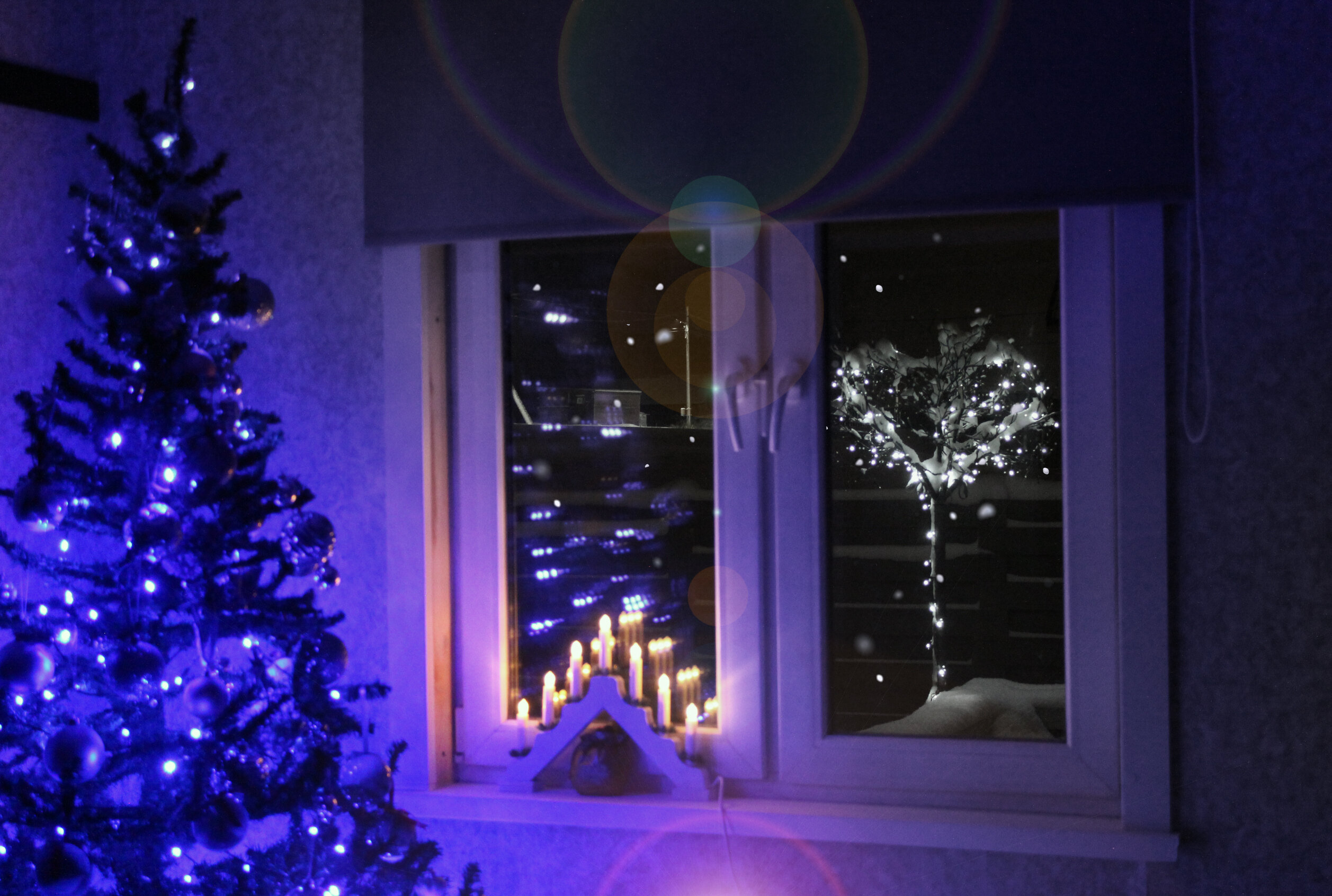 Фото Гнездо