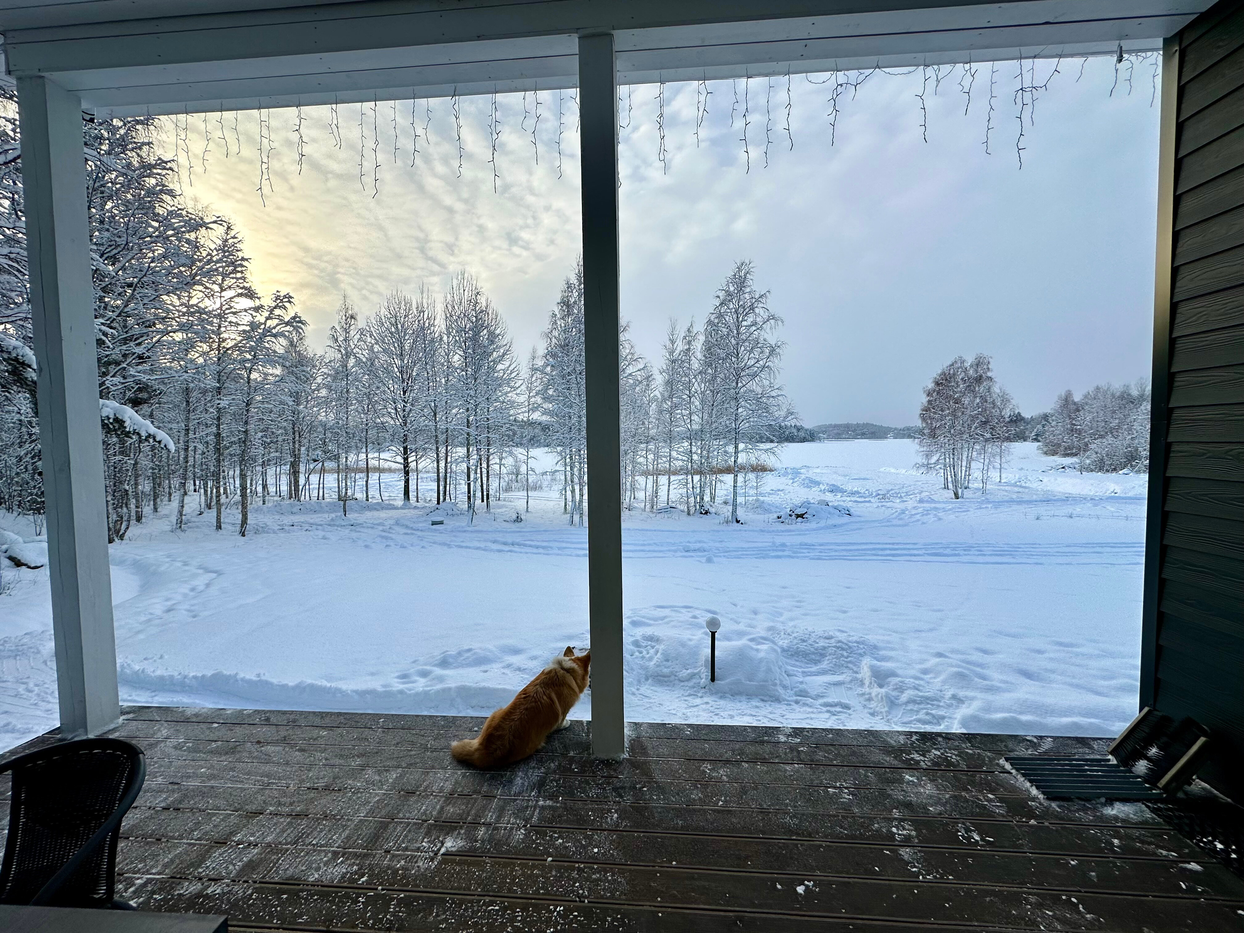 Фото Rukkola Village