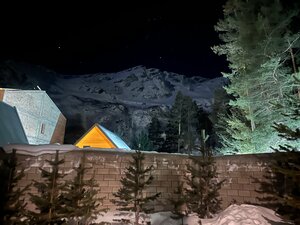 Pine Wood Elbrus