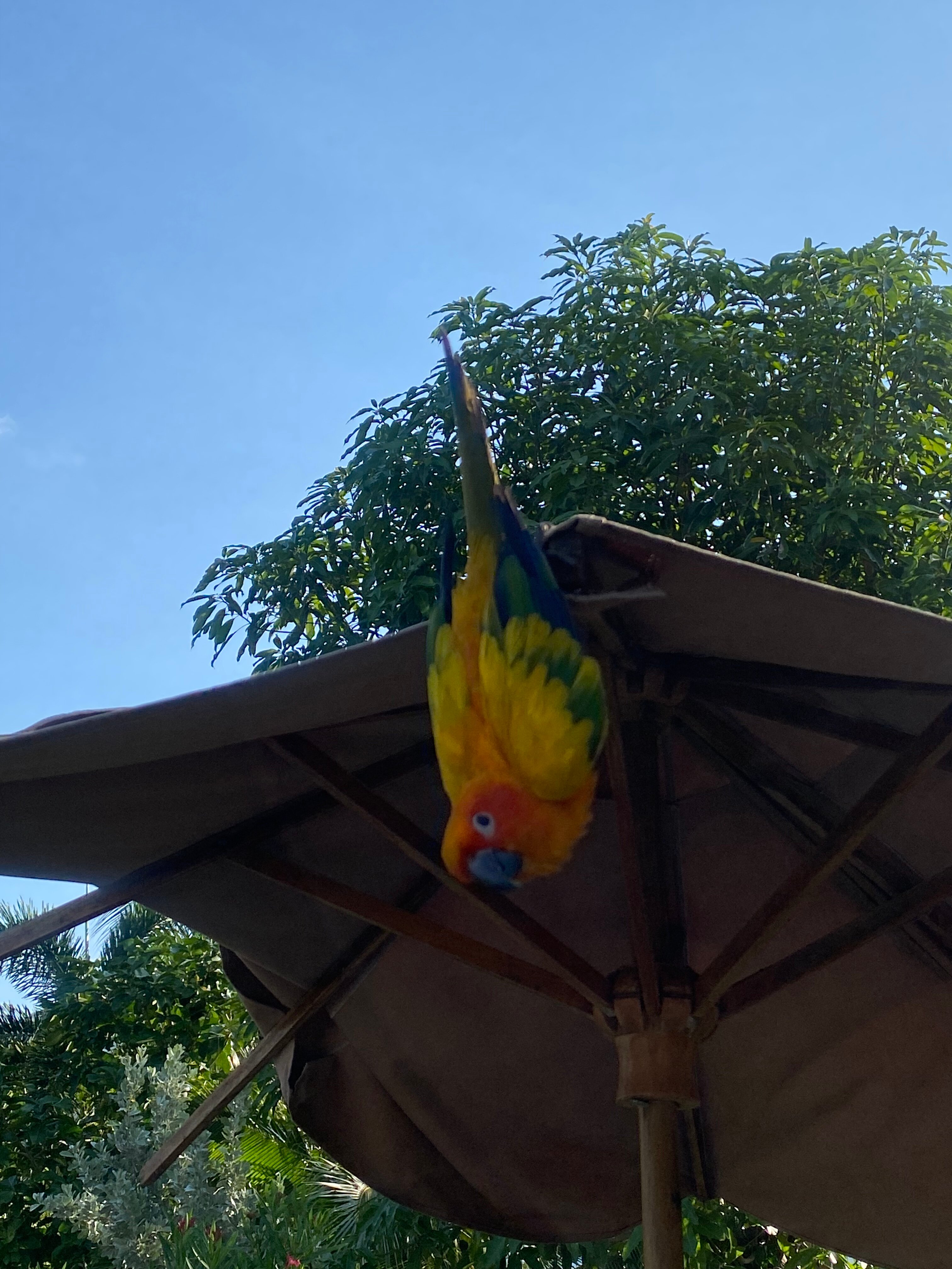 Фото Пхукет Голден Сэнд Инн