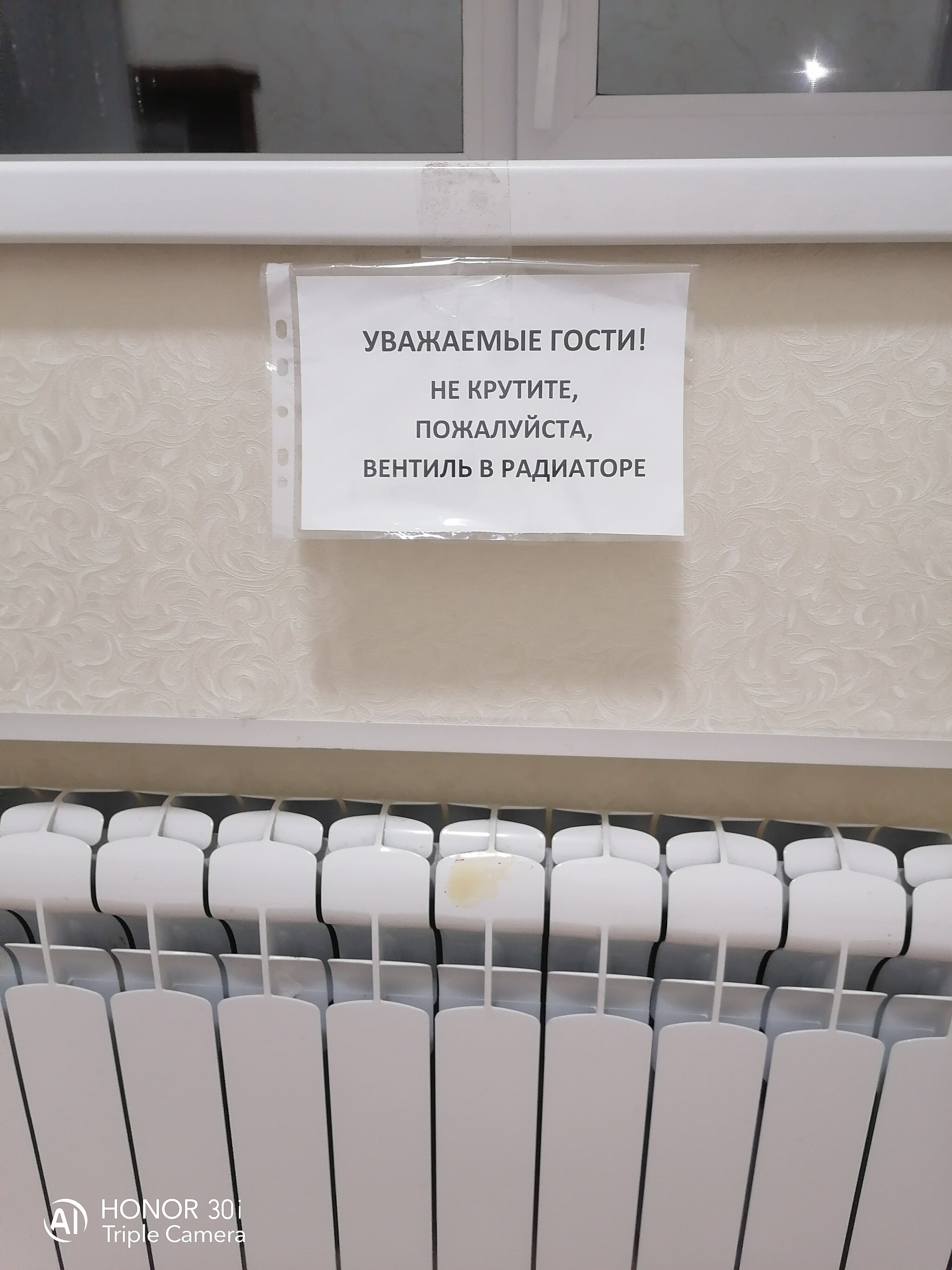 Фото Аристократ