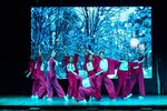 Divitia (Revolyutsionnaya Street, 70/1) ، مدرسة لتعليم الرقص
