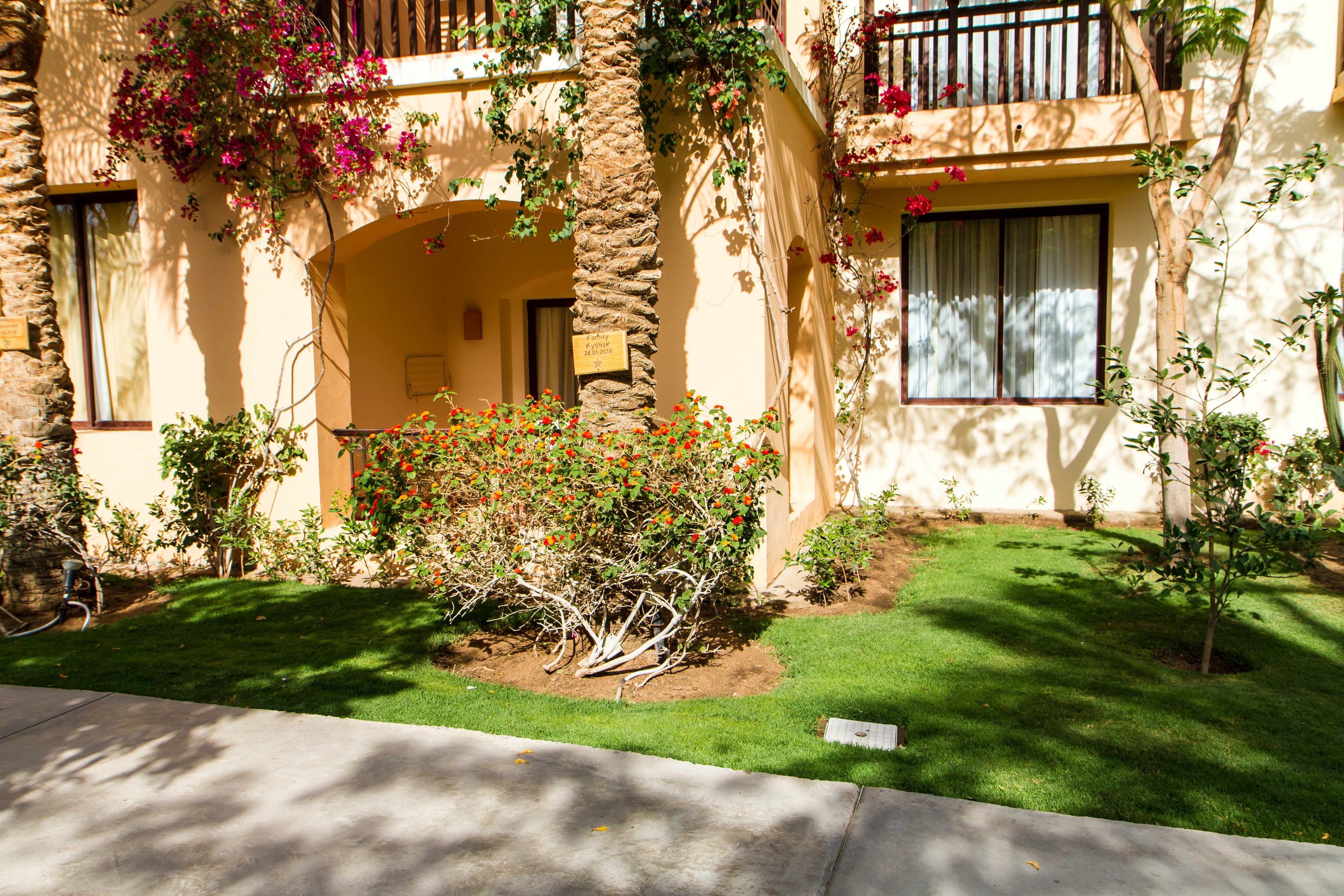 Фото Джаз Макади Сарайя Палмс