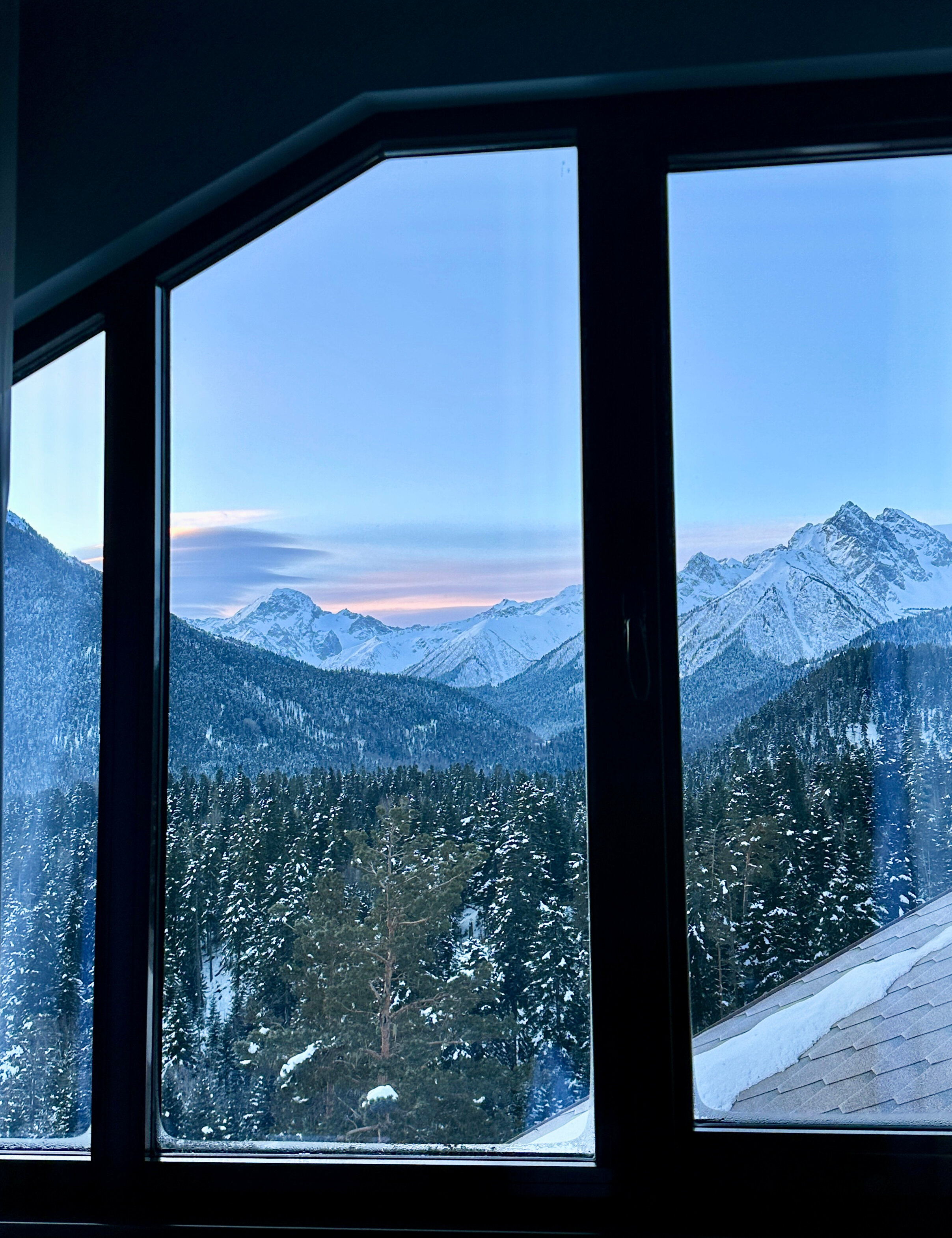 Фото Вудберг