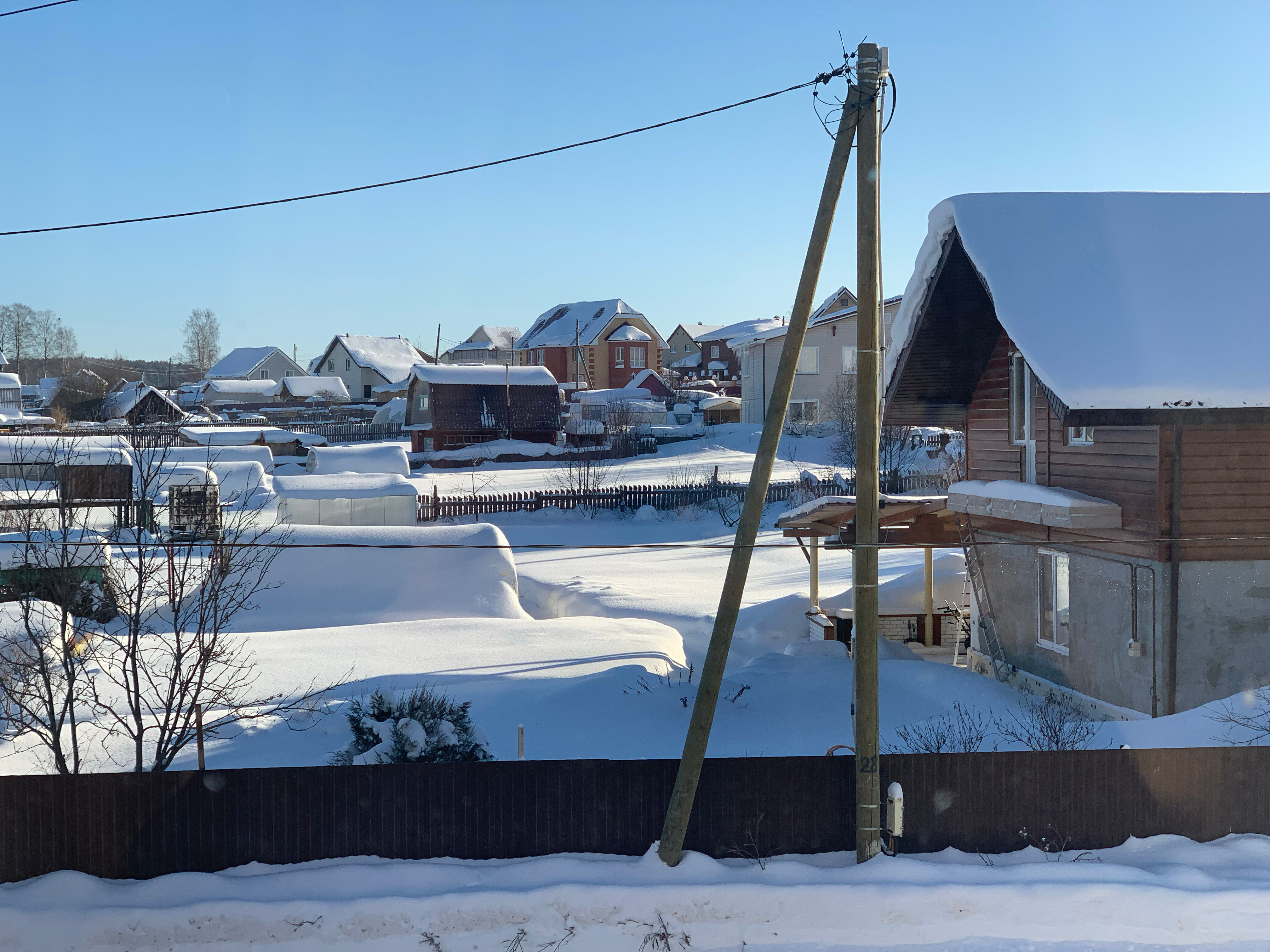 Фото ПингвиН