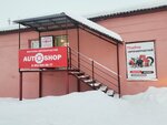 Autoshop (ulitsa Karla Marksa, 13), auto parts and auto goods store