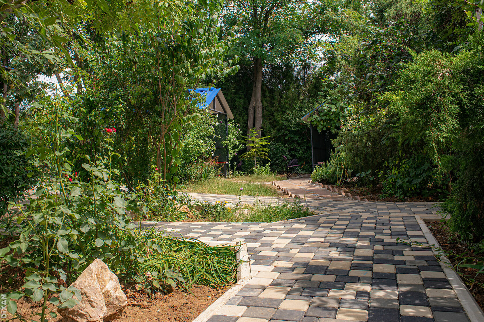 Фото Солнышко